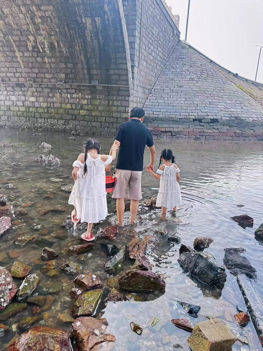 布鲁维斯观景台旅行图片 2
