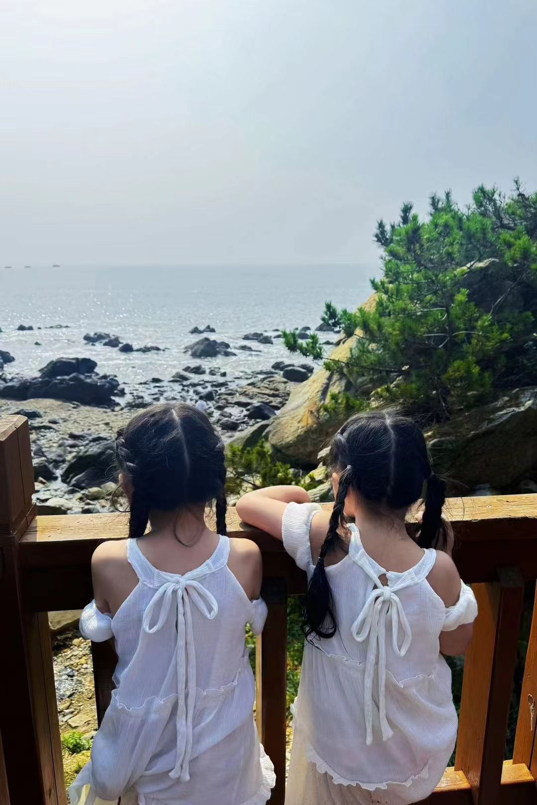 布鲁维斯观景台旅行图片 1