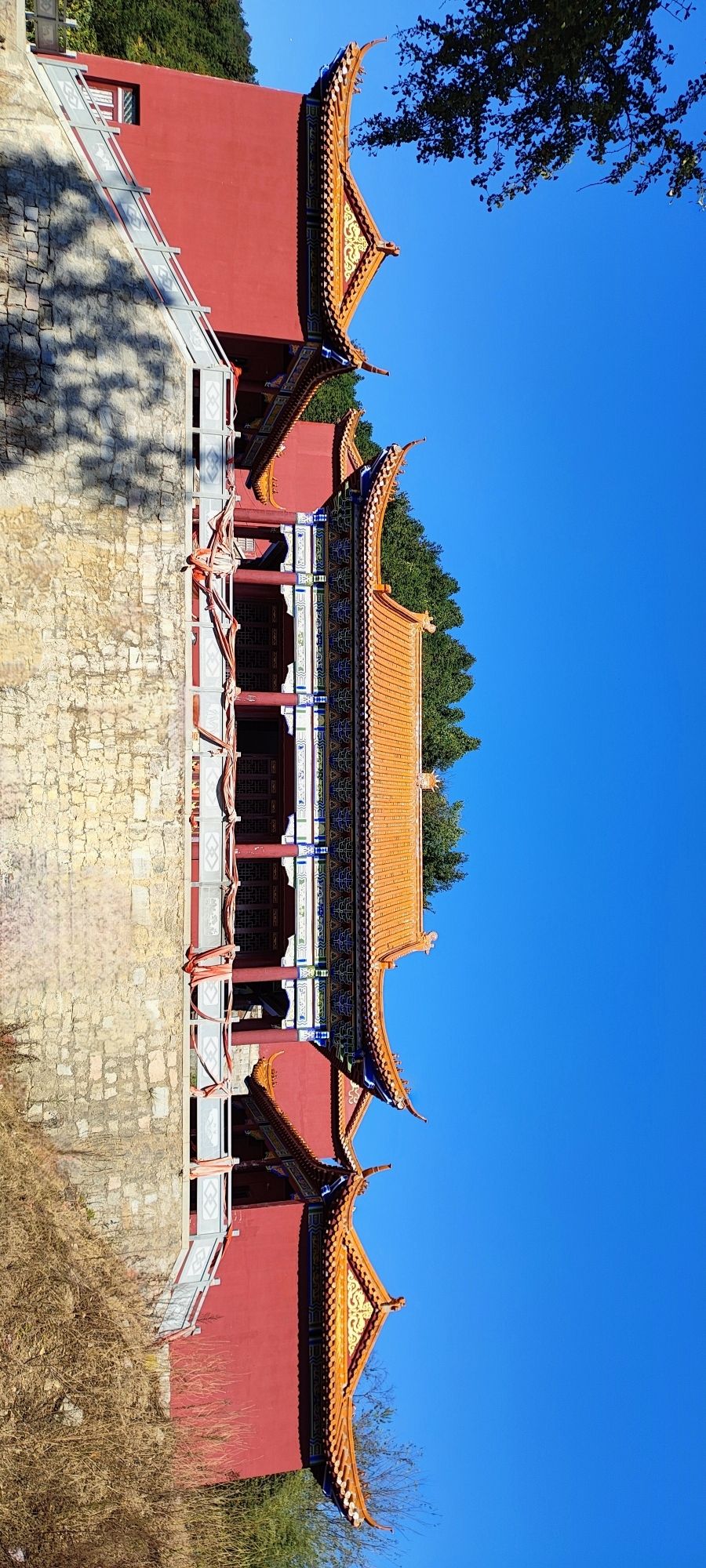 银杏寺旅行图片 1