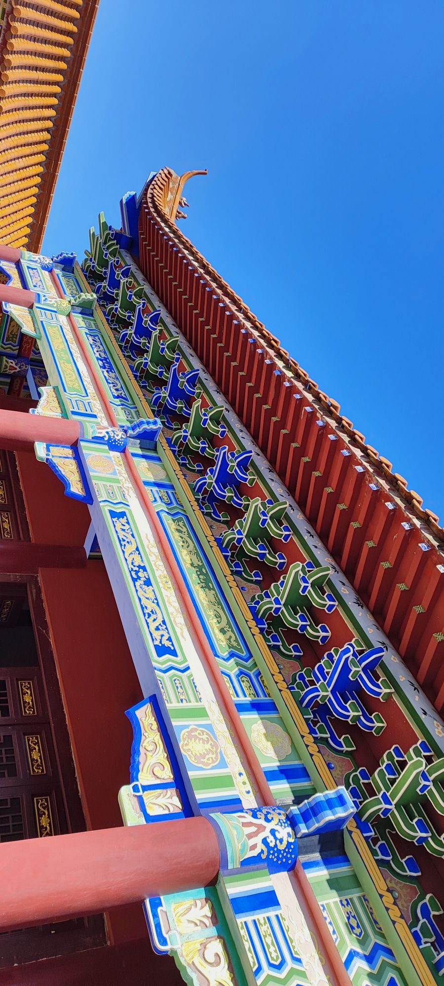 银杏寺旅行图片 2