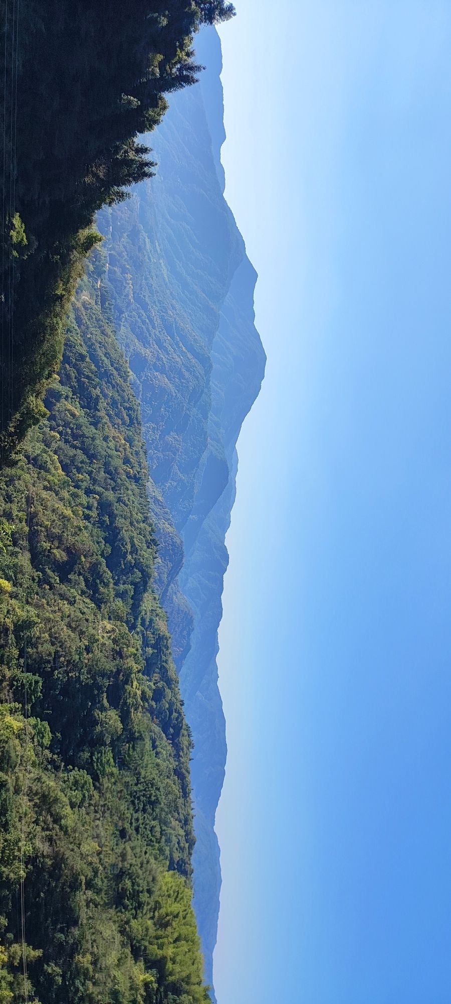 银杏寺旅行图片 3