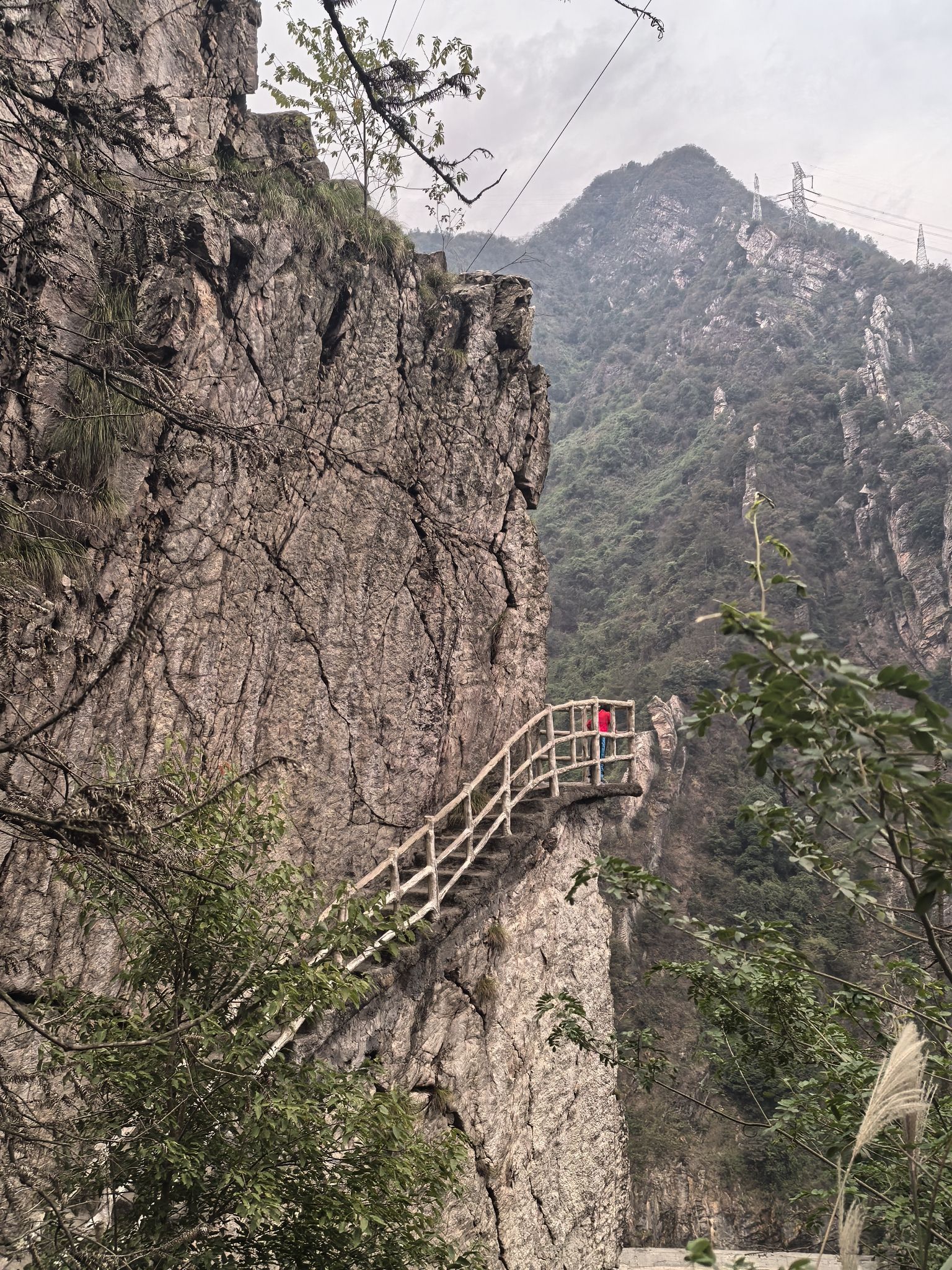 狗爬崖旅行图片 2