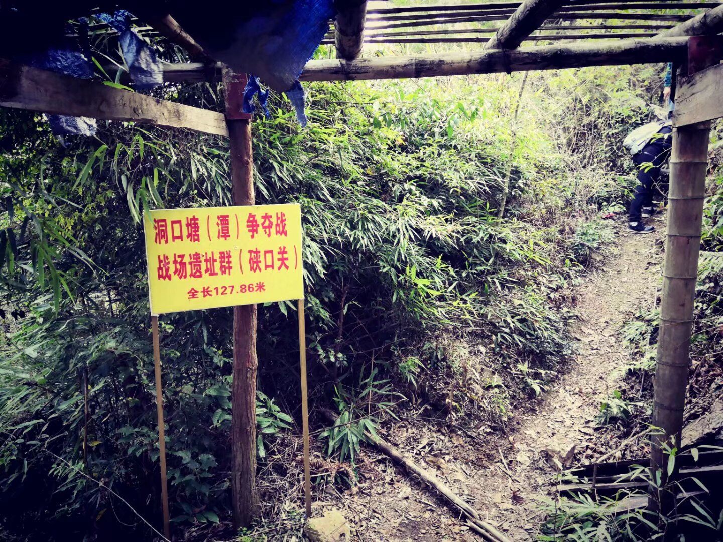 狗爬崖旅行图片 3