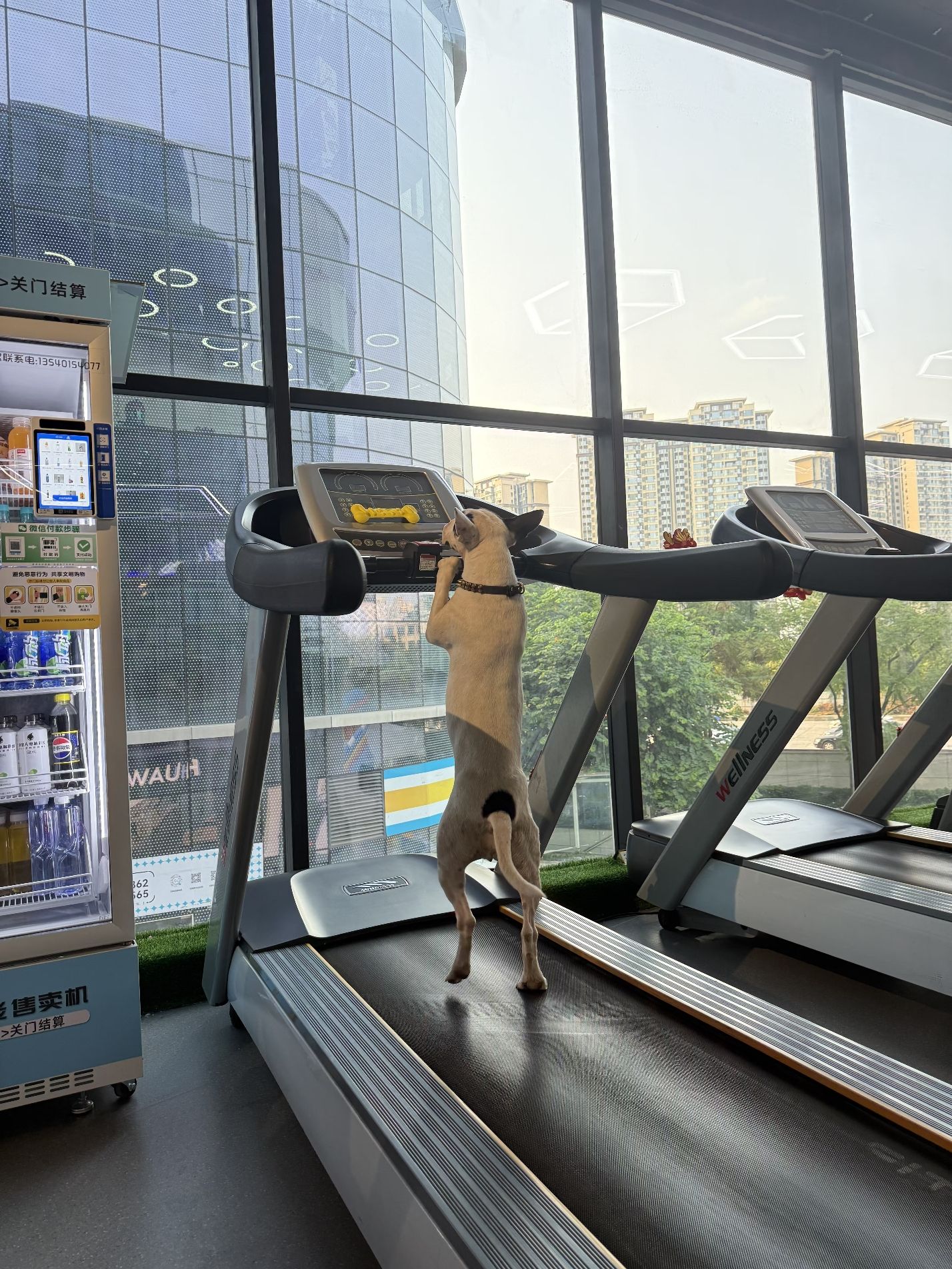 场地封面-One more健身工作室(星悦广场店)