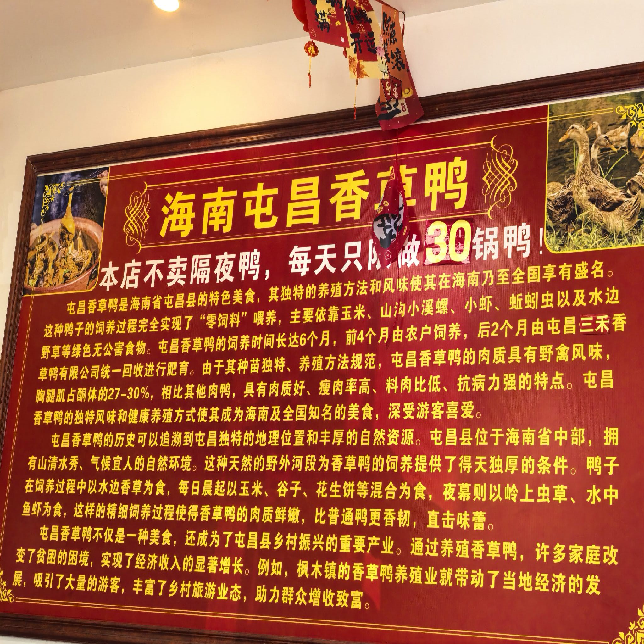 海南屯昌香草鸭(海韵阳光城店)