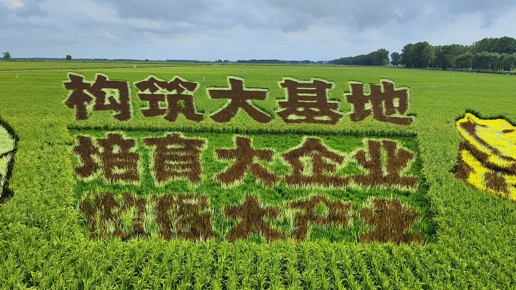 桦川县稻田画旅行图片 3