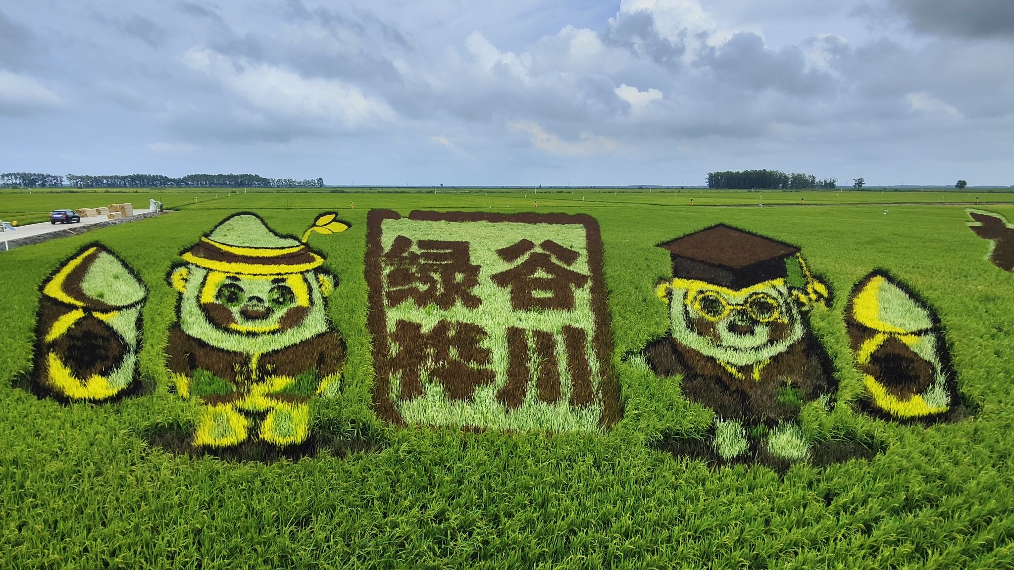 桦川县稻田画旅行图片 1