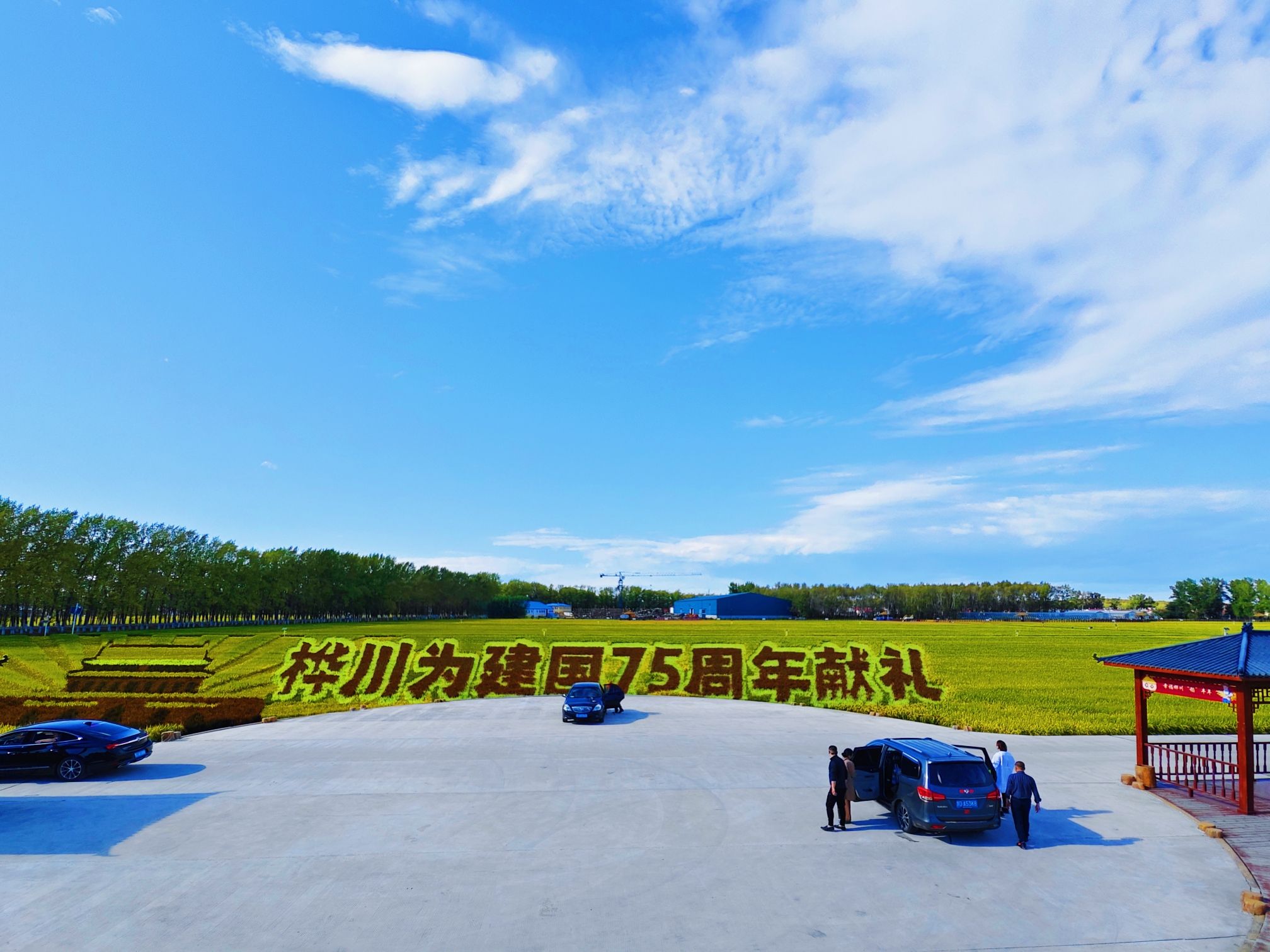 桦川县稻田画旅行图片 1