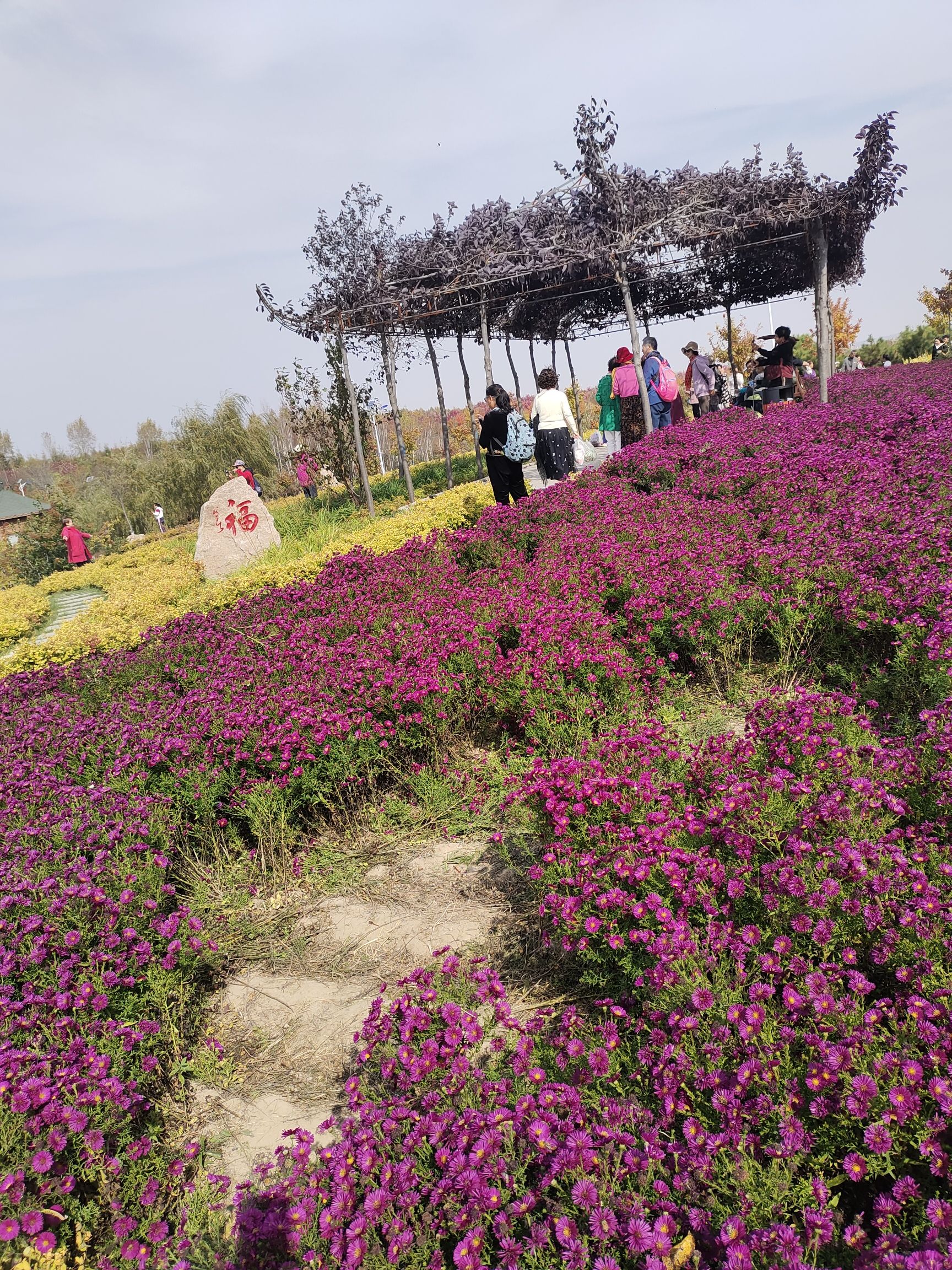 蔚秀山森博园旅行图片 1
