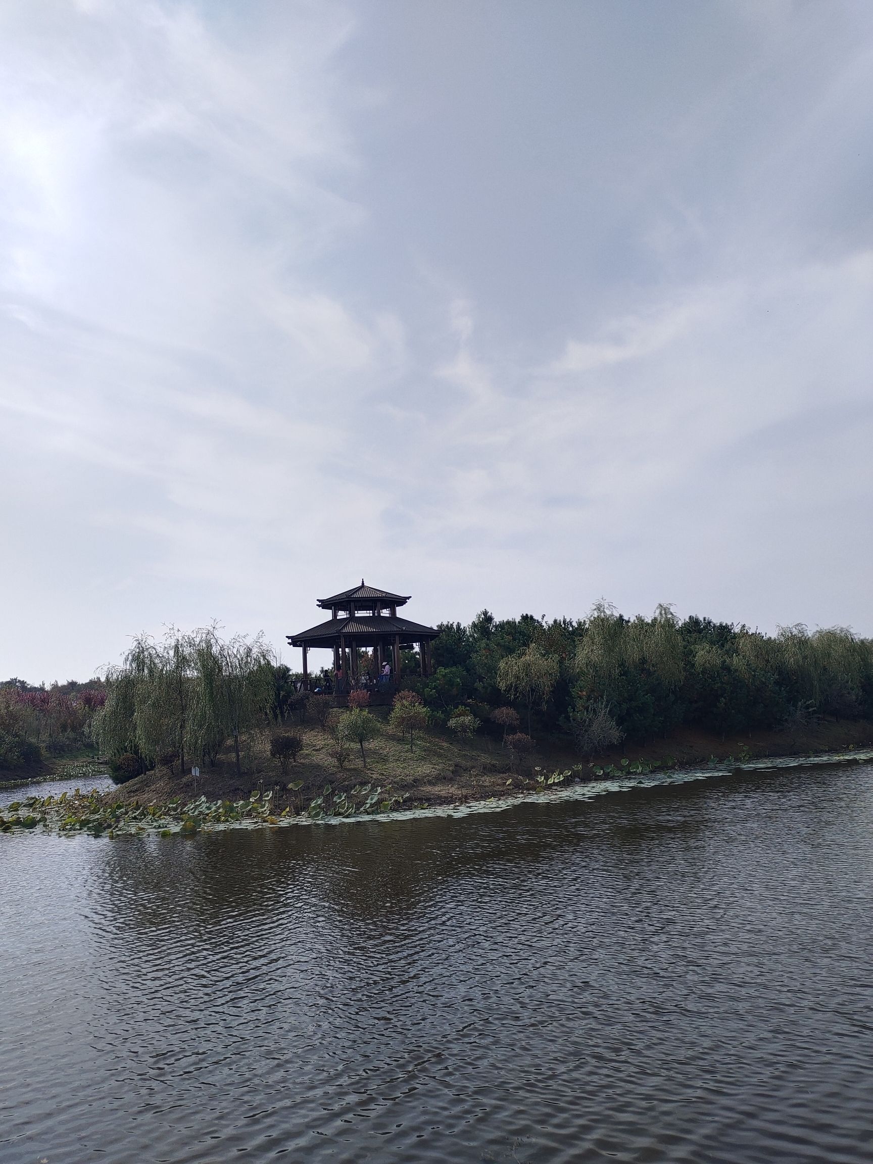 蔚秀山森博园旅行图片 3