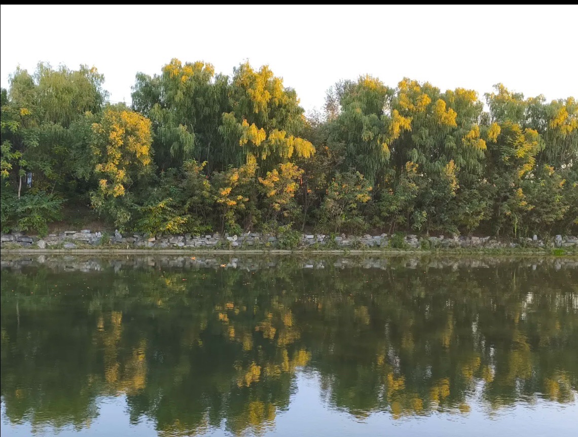 清河旅行图片 3