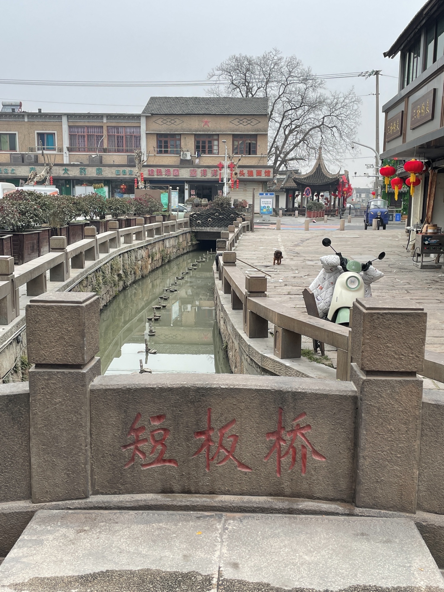 双林古镇景区旅行图片 2