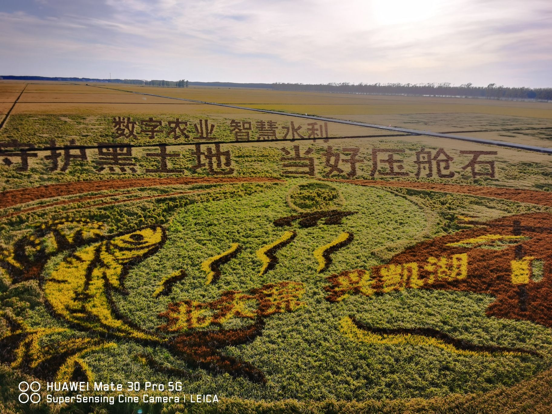 兴凯湖农场稻田画观景台旅行图片 1