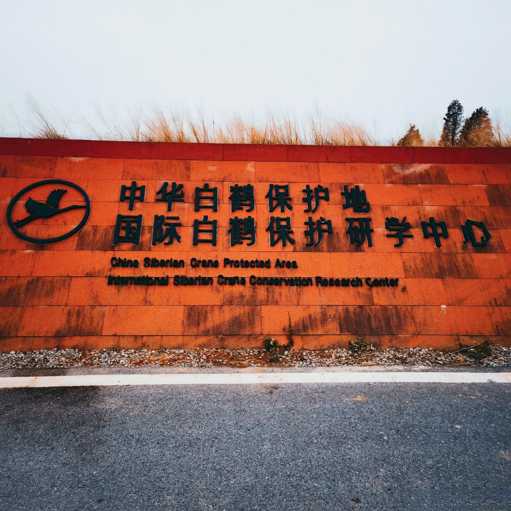 白鹤小镇旅行图片 1