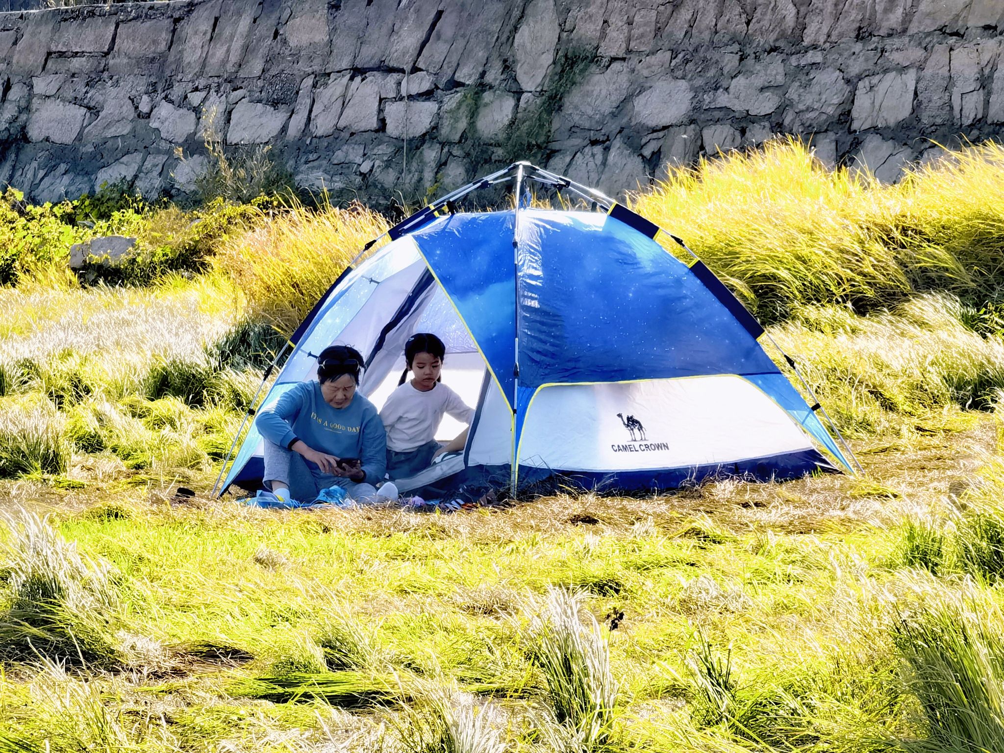 白鹤小镇旅行图片 3