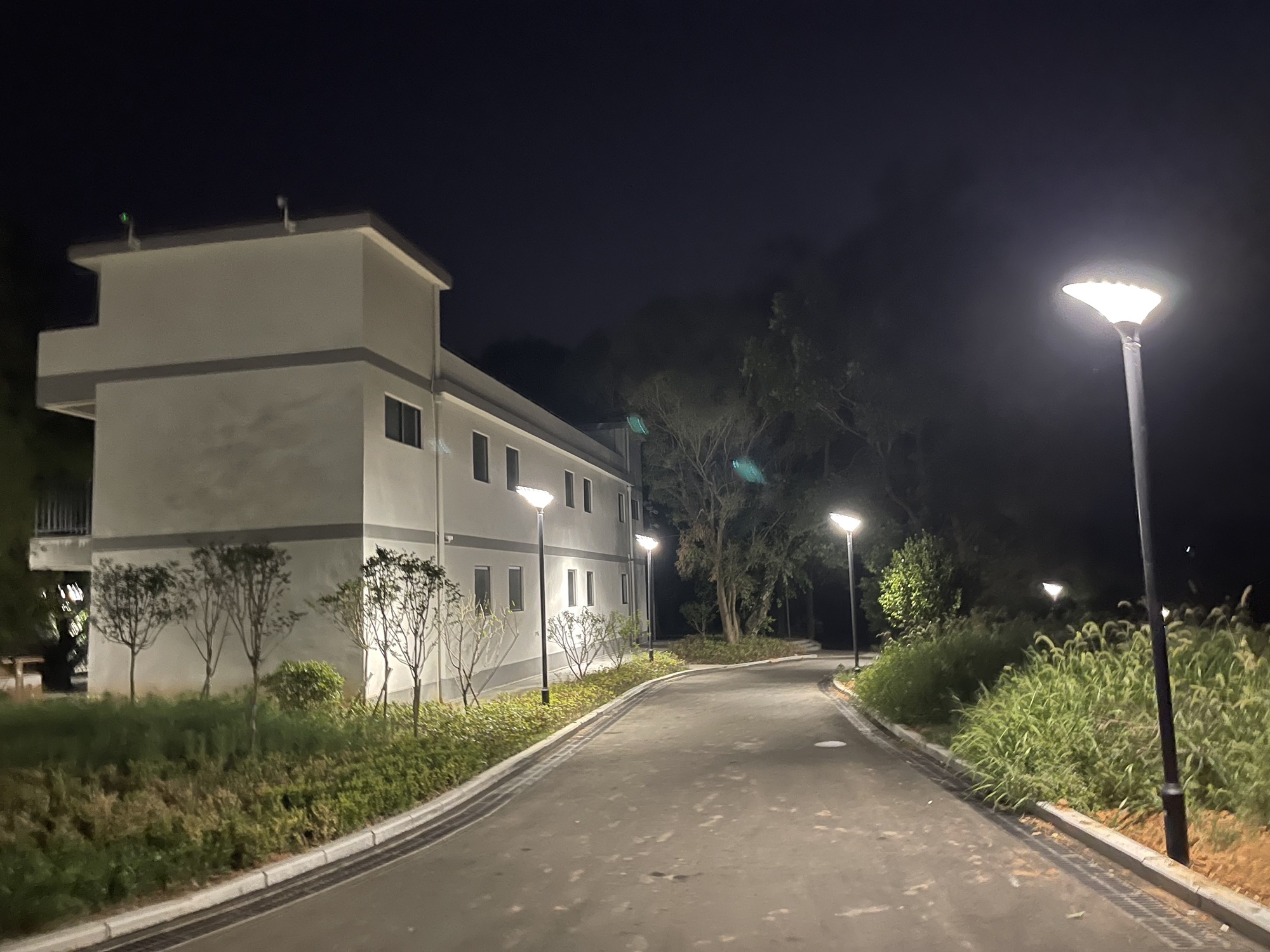 霞洋森林公园旅行图片 3
