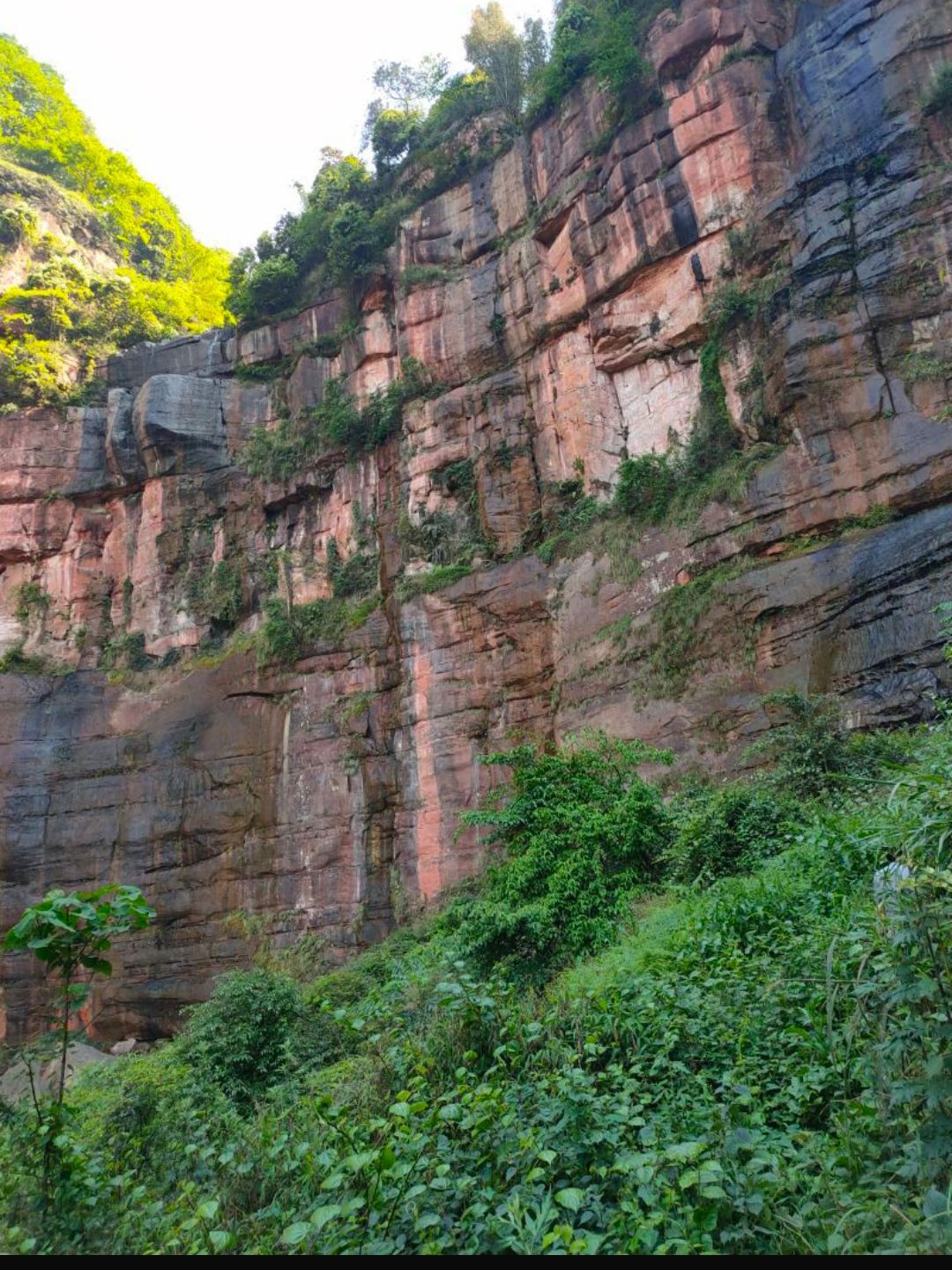 石城山旅行图片 3