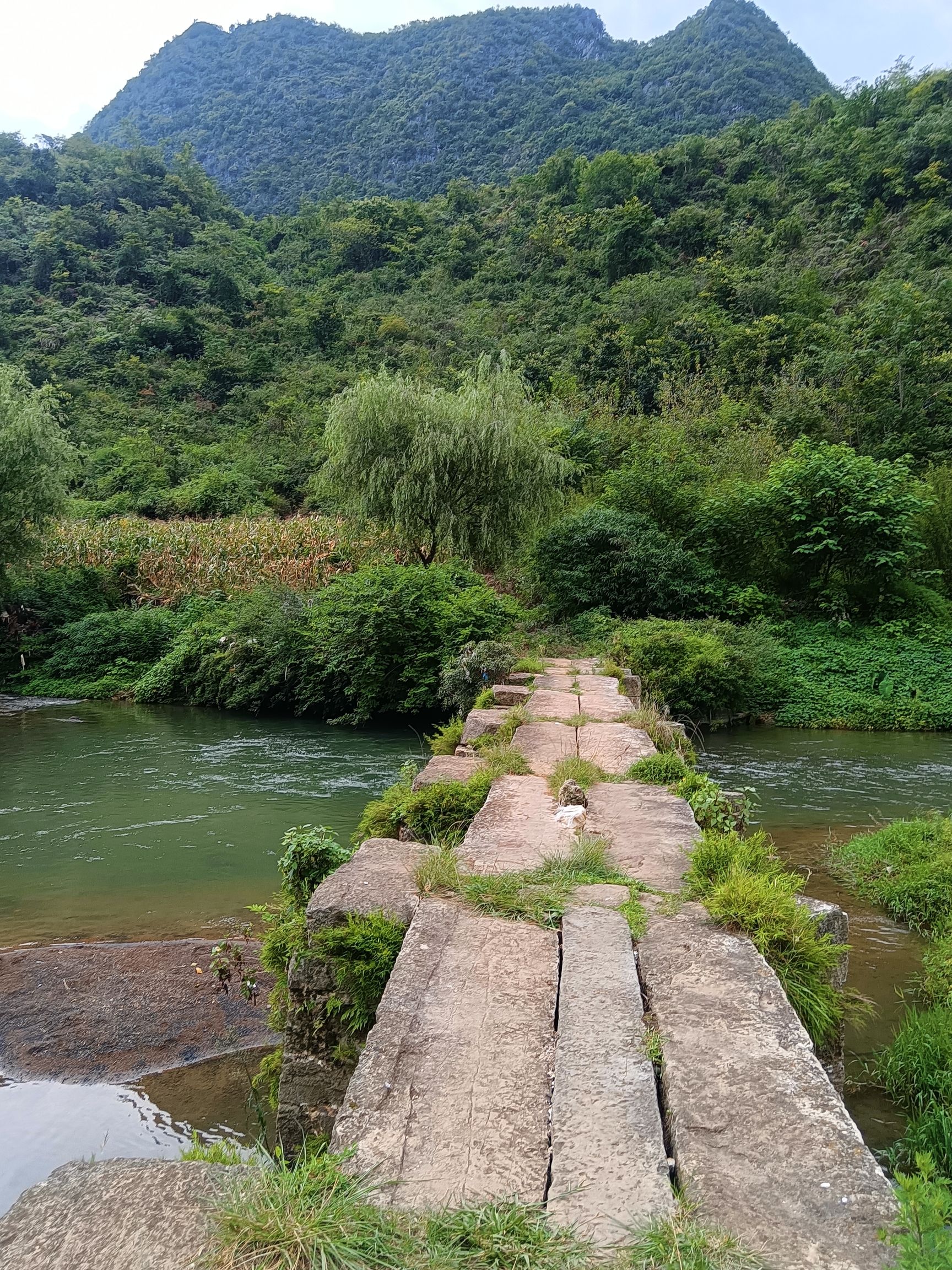 长田布依族古村落旅行图片 2