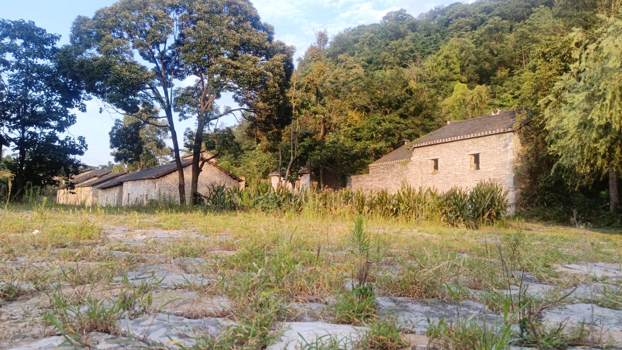 长田布依族古村落旅行图片 2