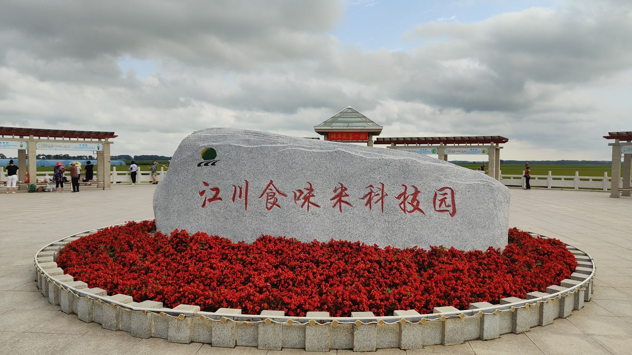 江川农场稻田画旅行图片 2