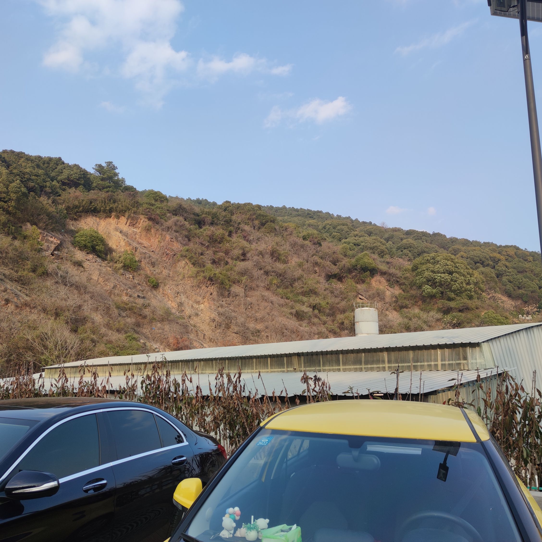 长龄步道旅行图片 3