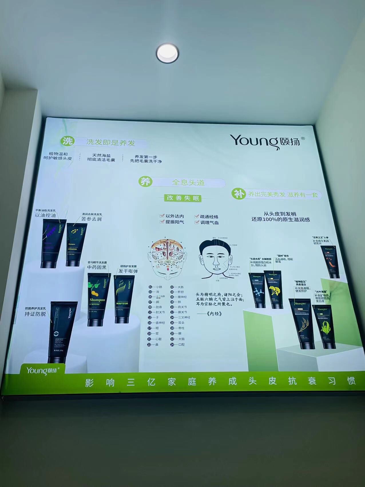 环球恐龙城 景点照片