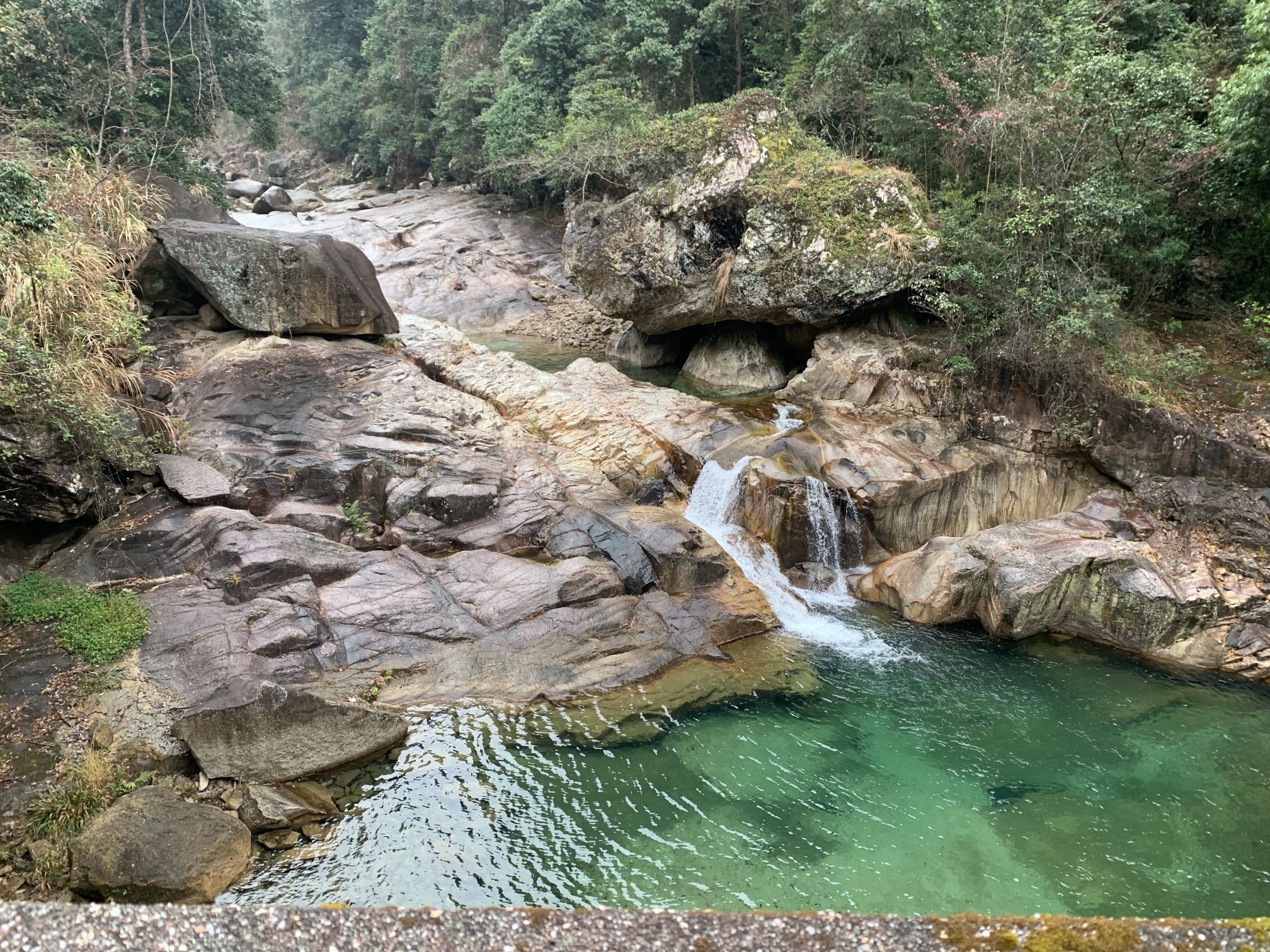 廣東第一峰石碑旅行图片 2