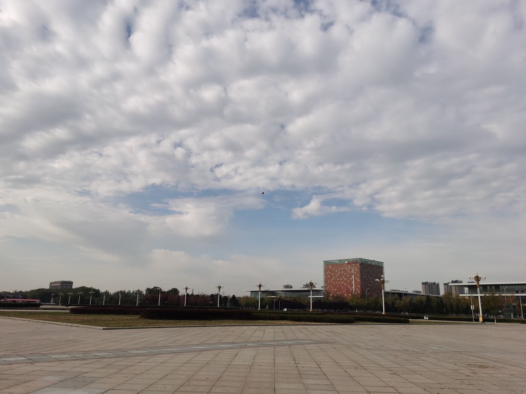 中央公园旅行图片 2