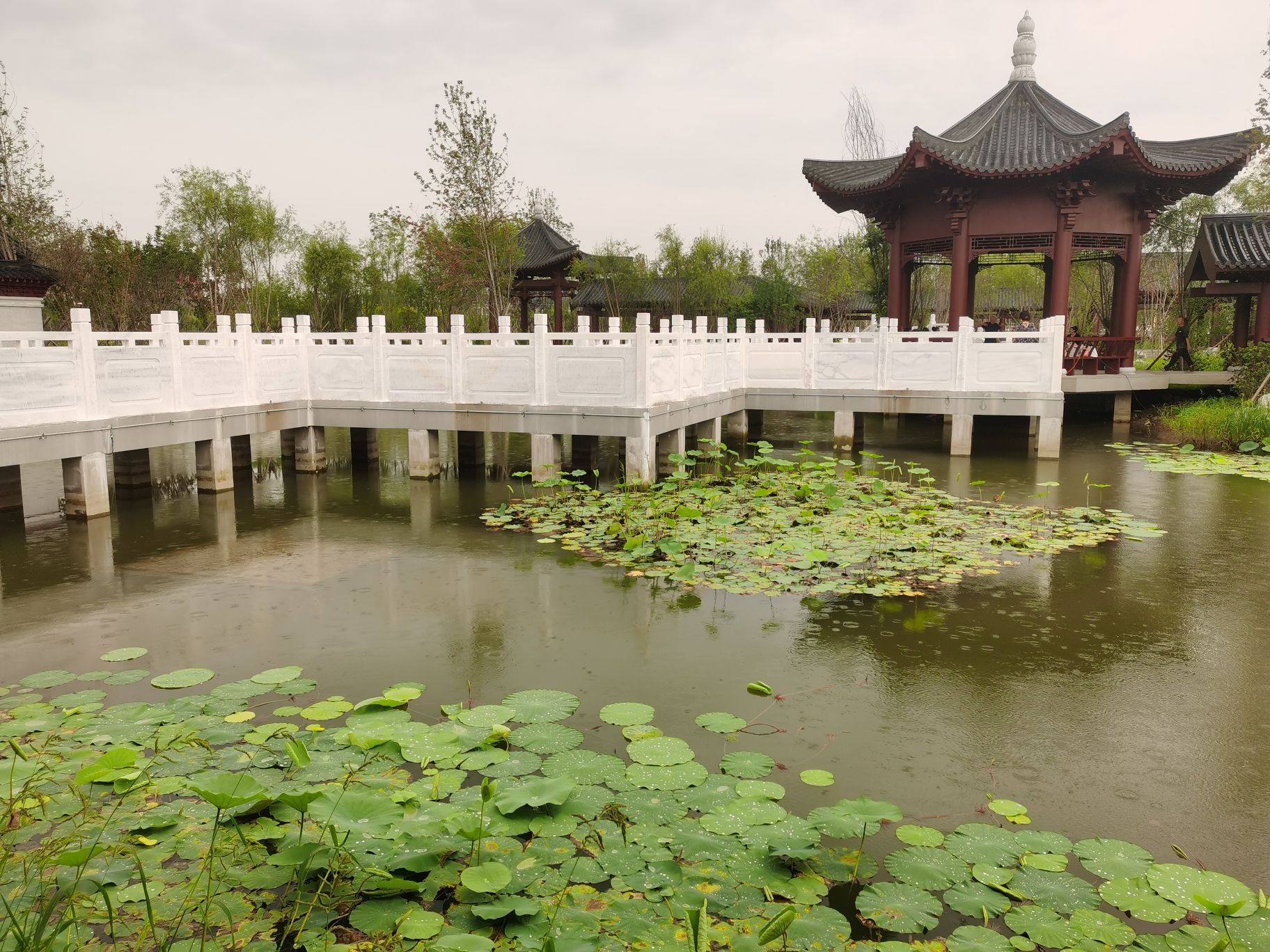 荷枫古韵园旅行图片 1