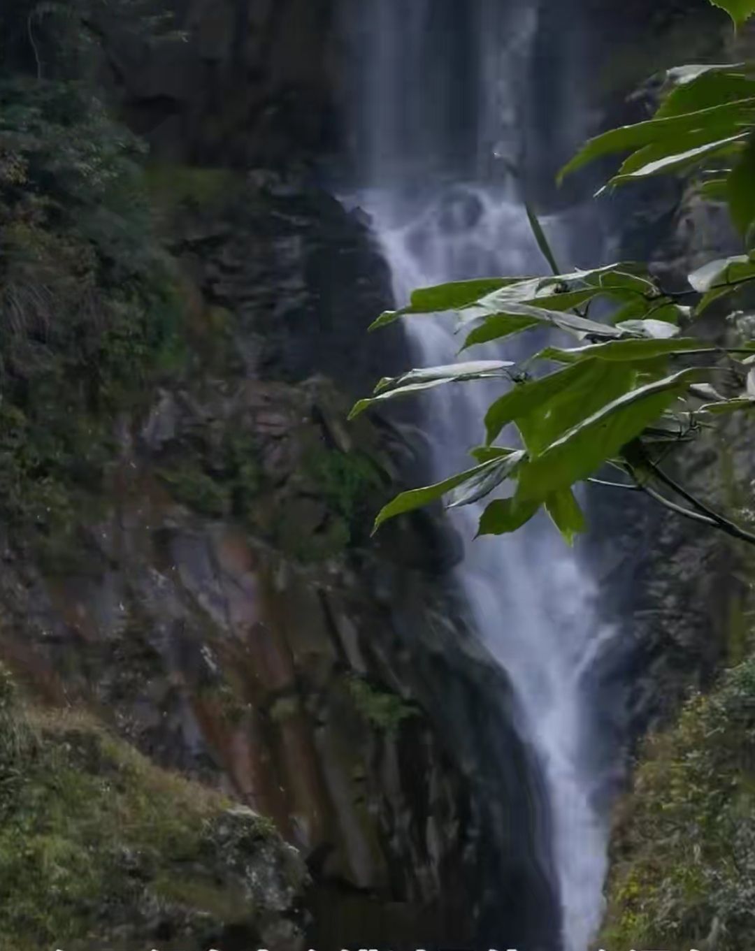 百丈冲瀑布旅行图片 3