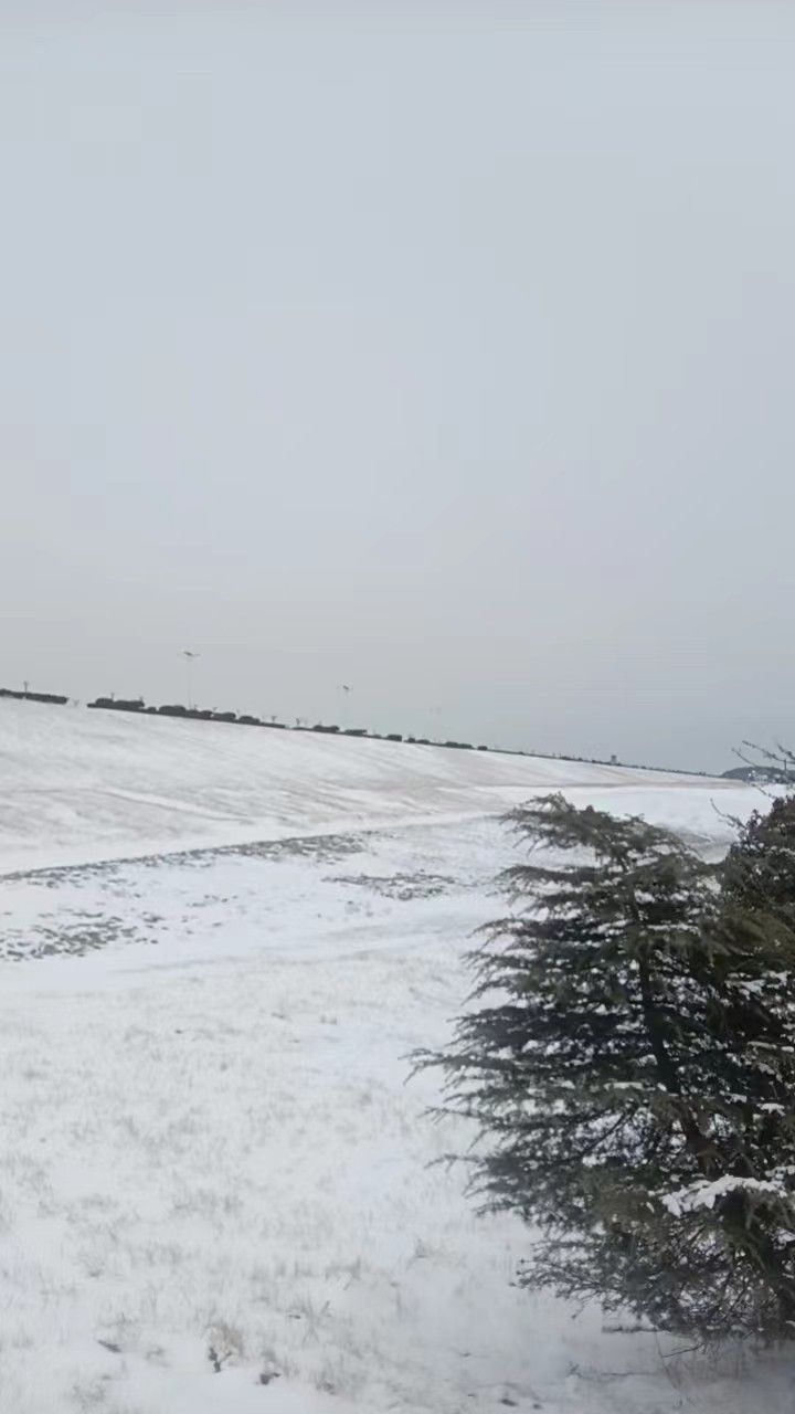 端木书台旅行图片 3