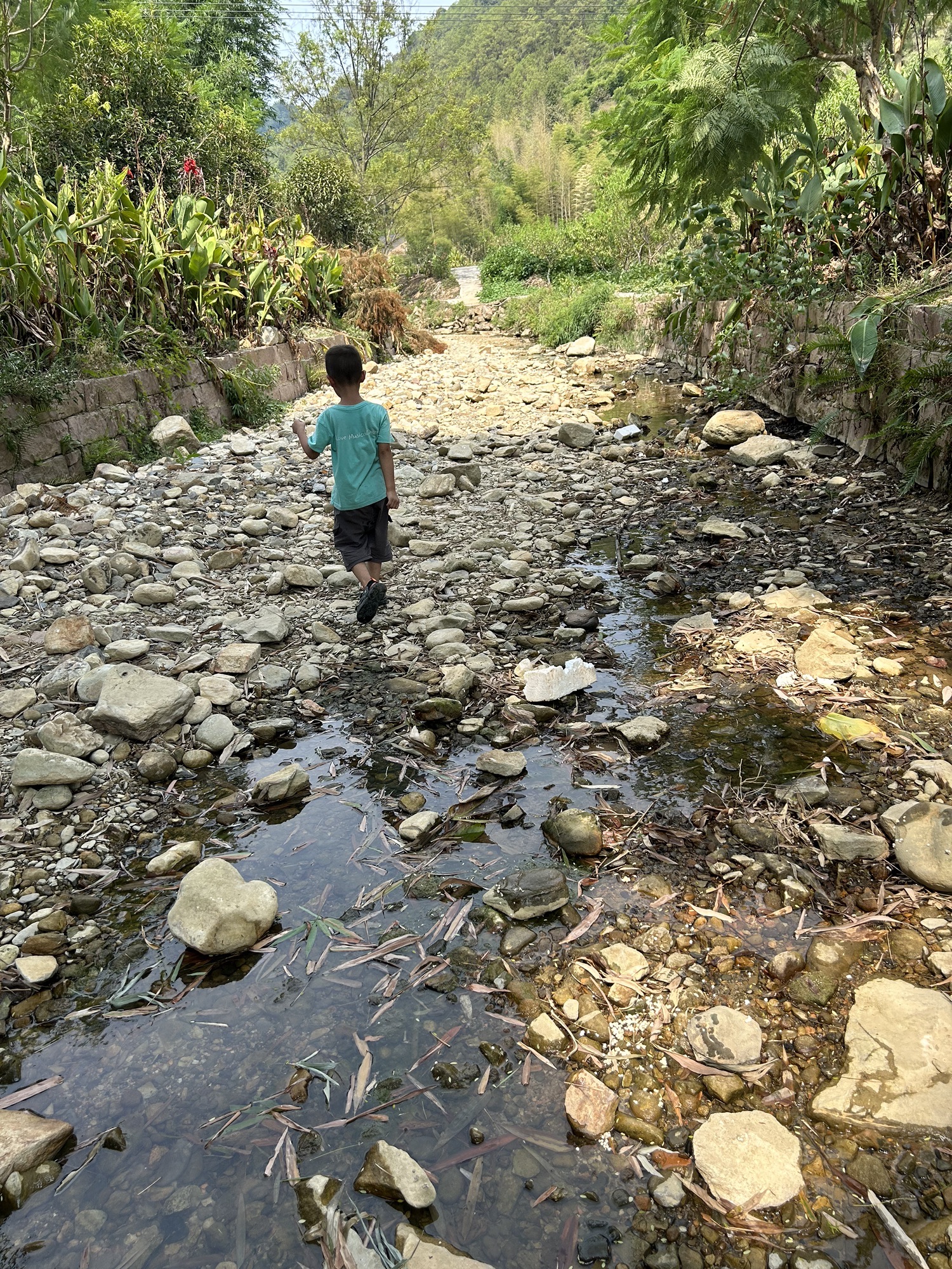 毓青飞瀑旅行图片 3
