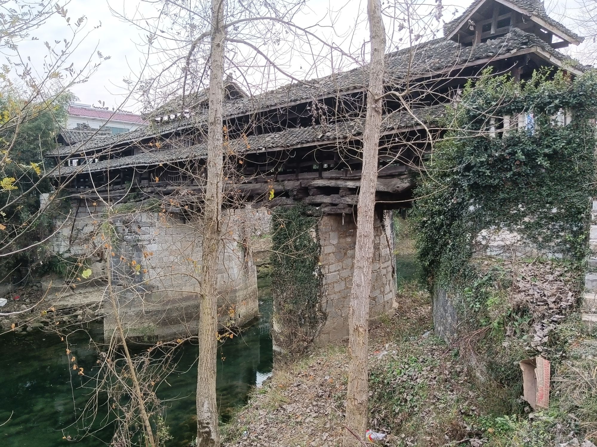 群英桥旅行图片 3