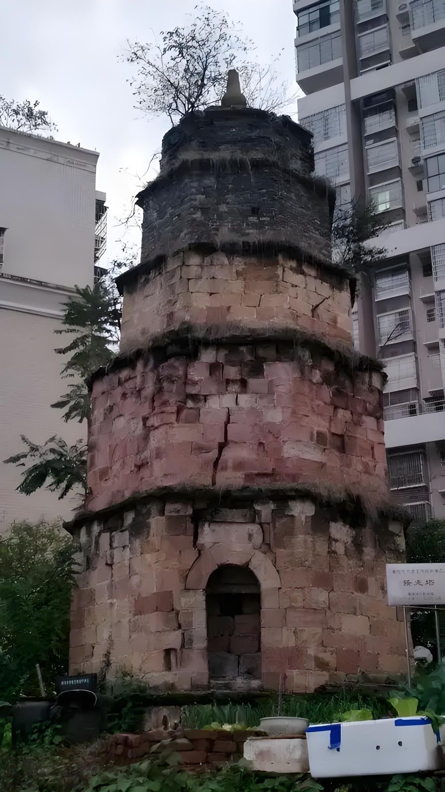 接龙塔旅行图片 2