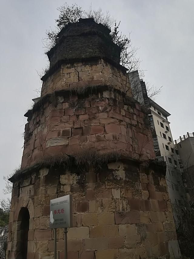 接龙塔旅行图片 1