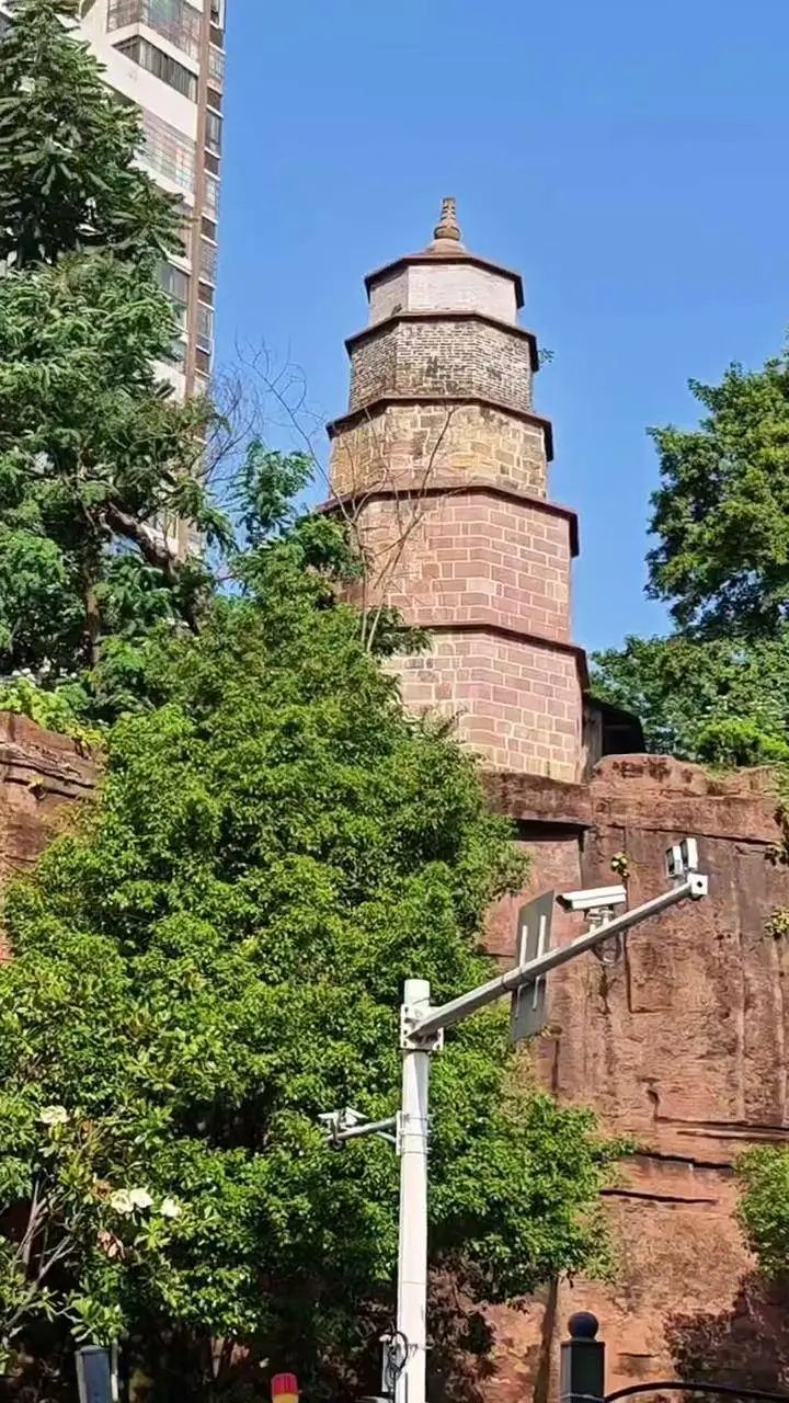 接龙塔旅行图片 3