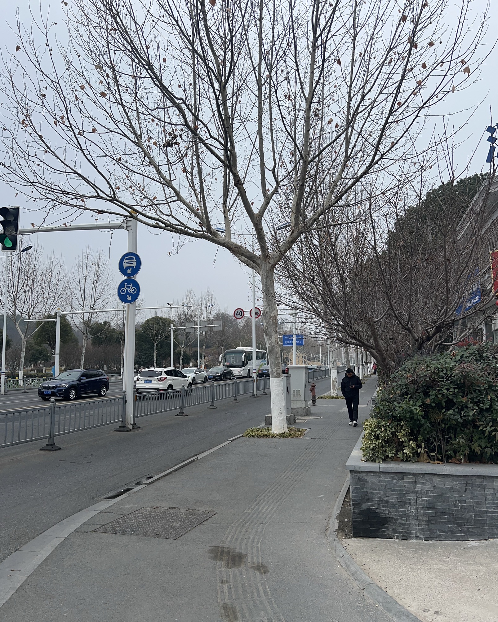 向家门广场旅行图片 3