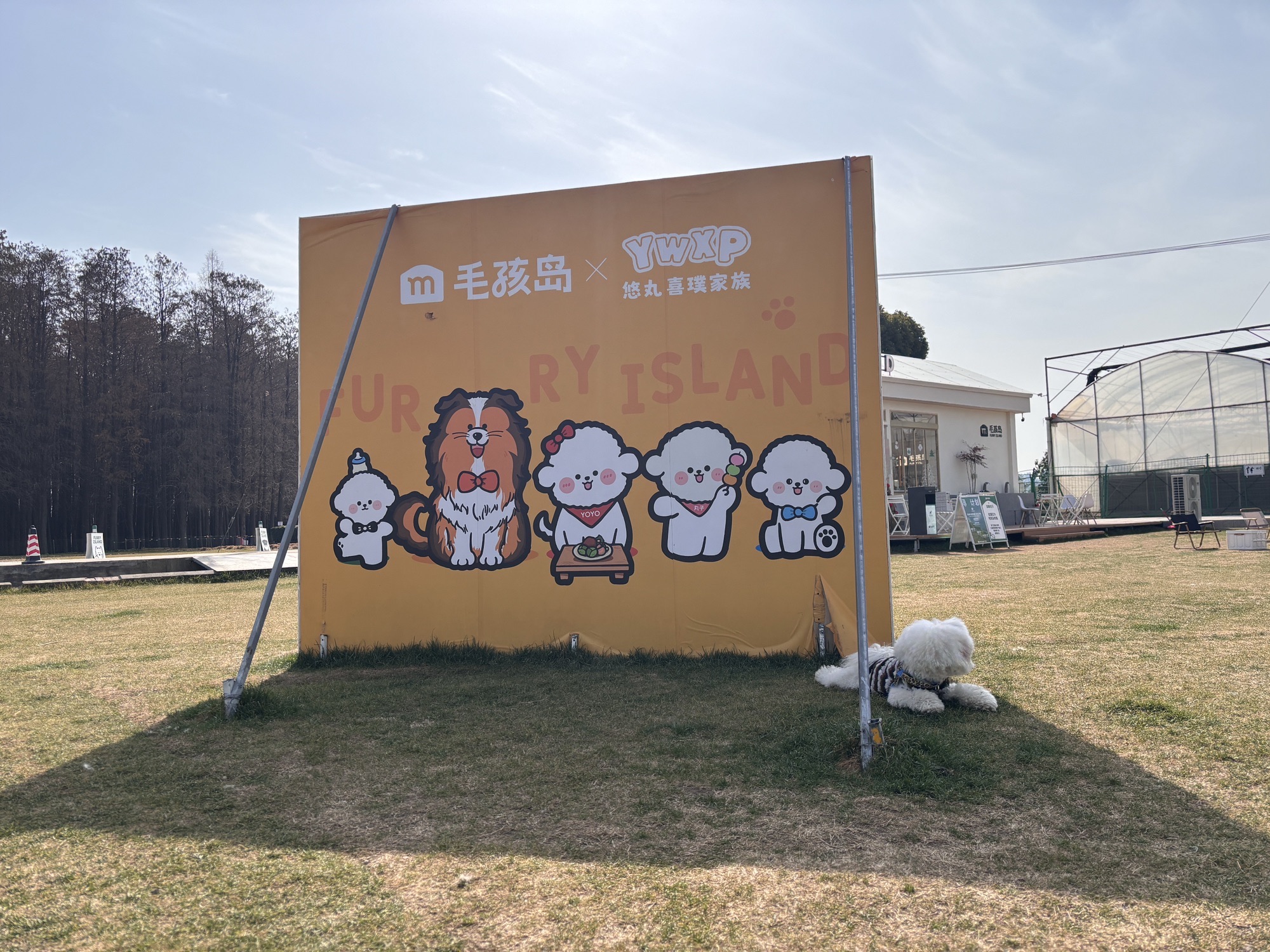 毛孩岛宠物公园旅行图片 1