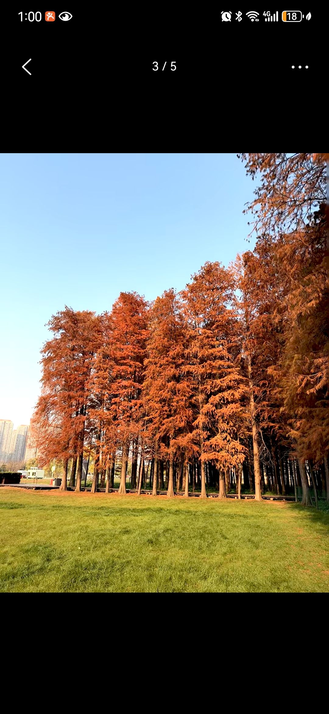 毛孩岛宠物公园旅行图片 2