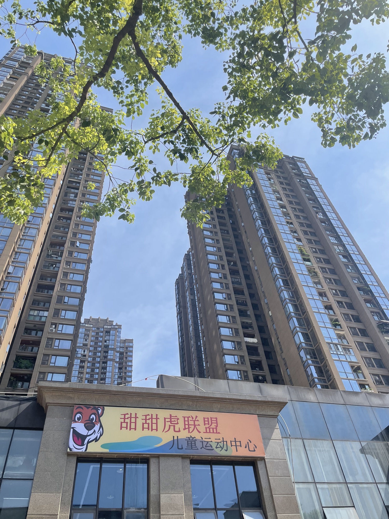 场地封面-甜甜虎联盟儿童运动中心