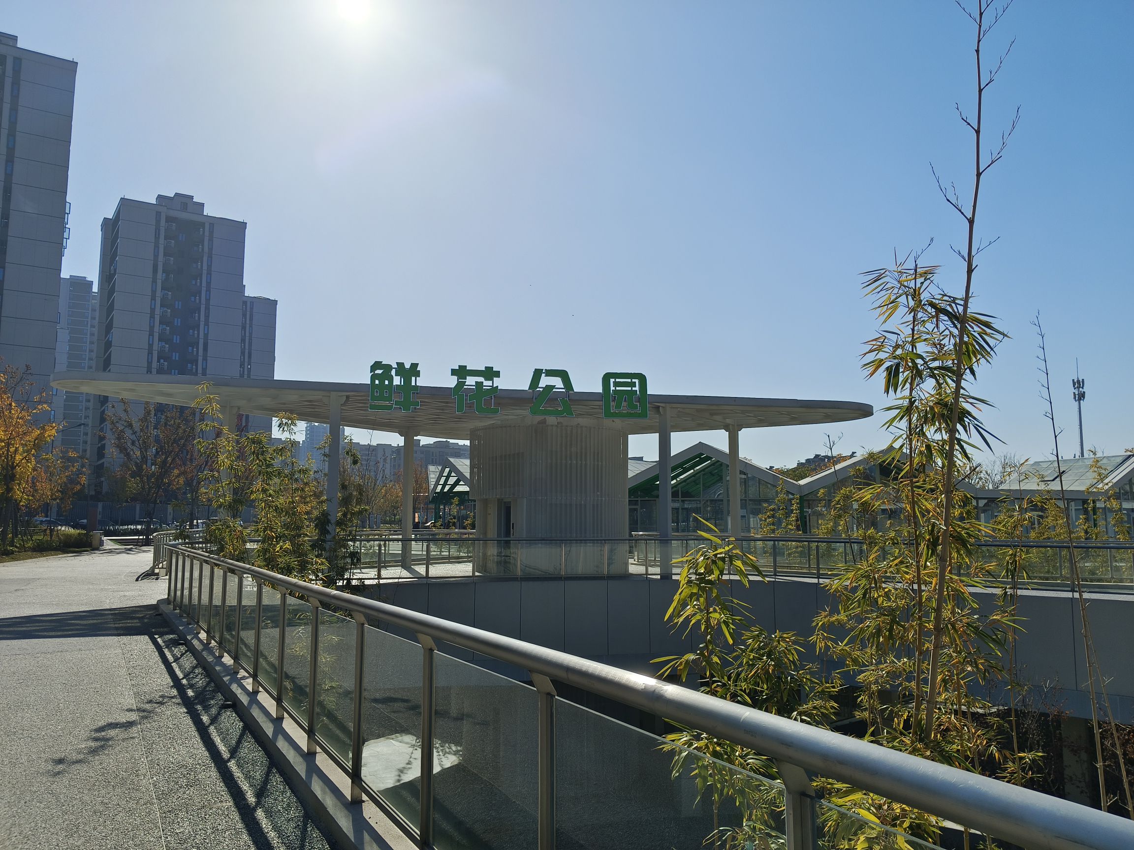 鲜花公园