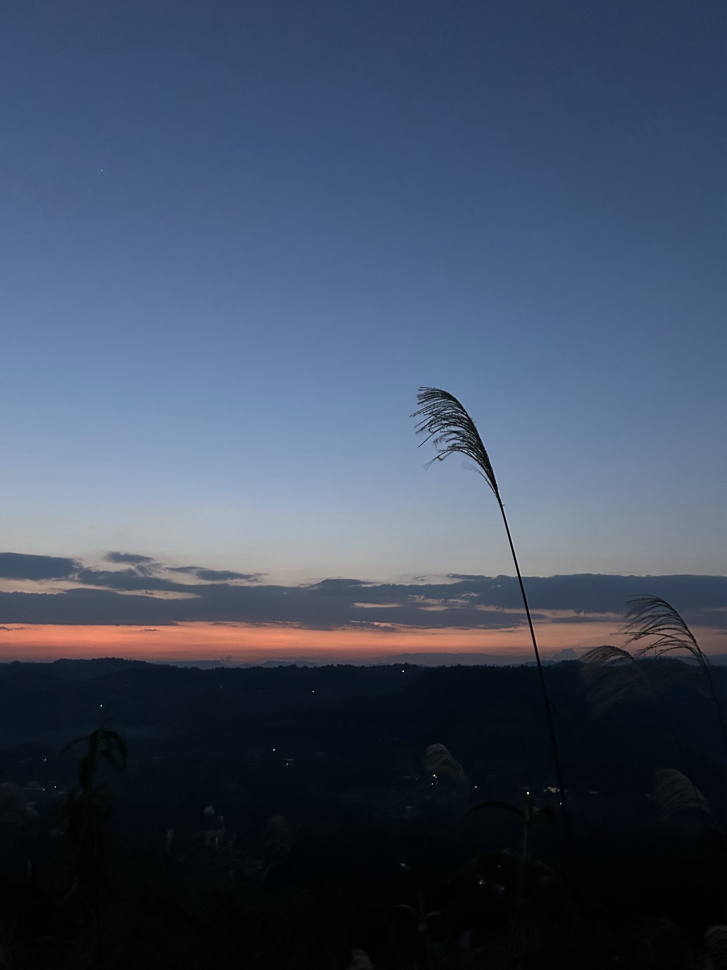 房岭村刺猪垭观景台旅行图片 2