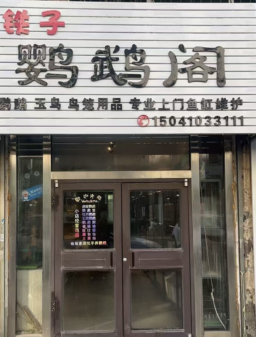 铁子鹦鹉阁旅行图片 1