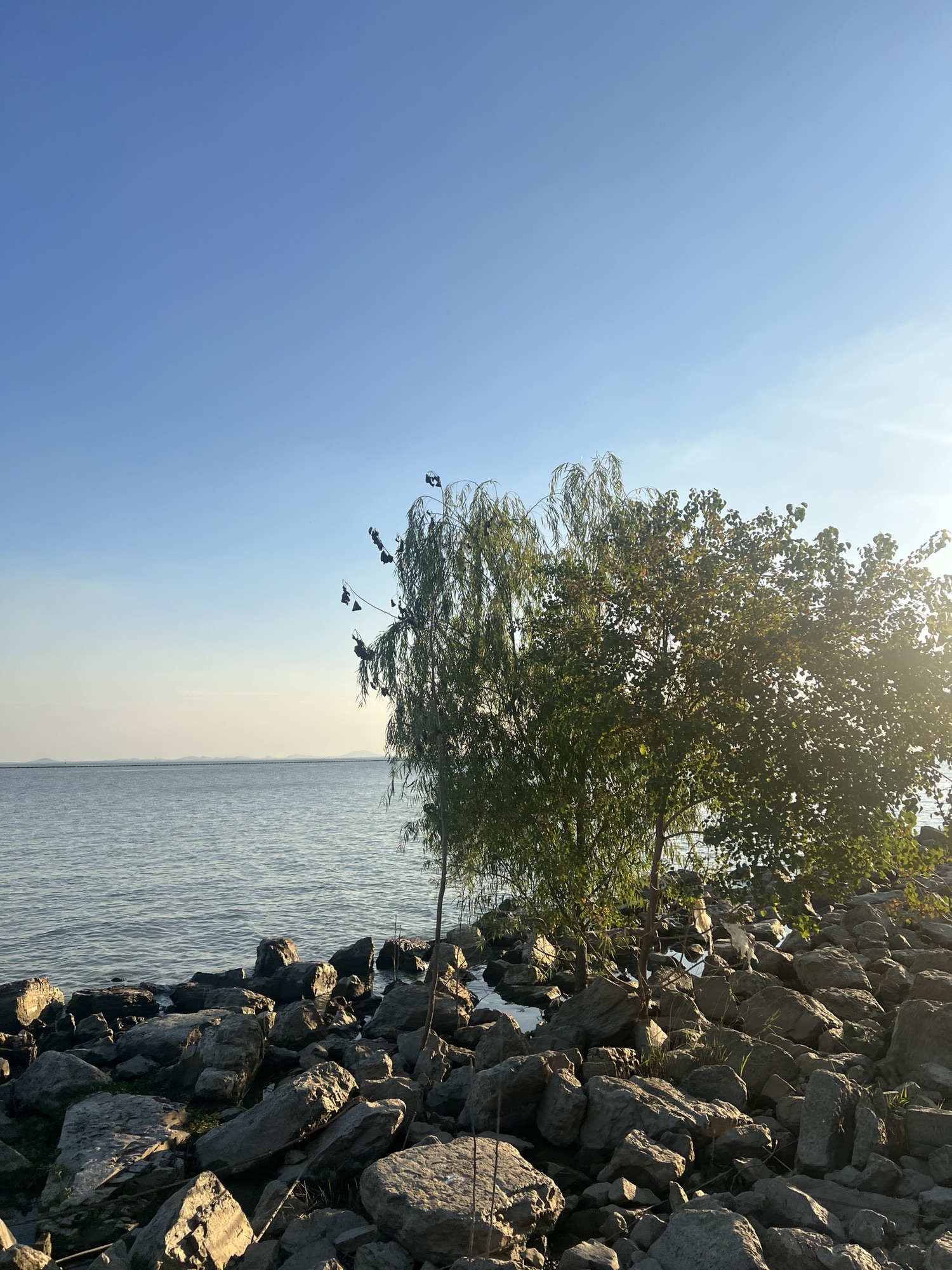 合肥小洱海旅行图片 2