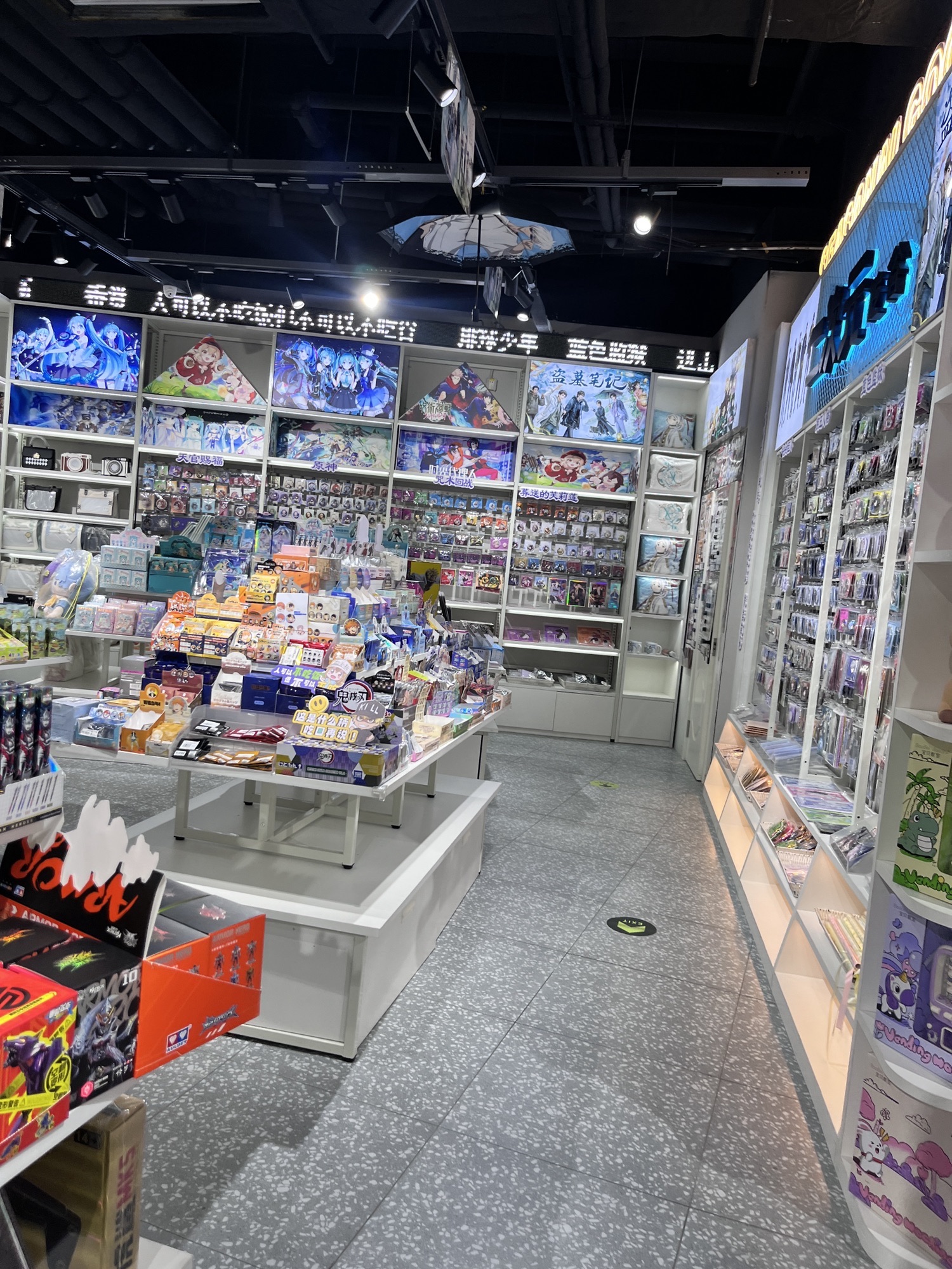 子非鱼动漫潮玩集合店(高新谷德茂店)