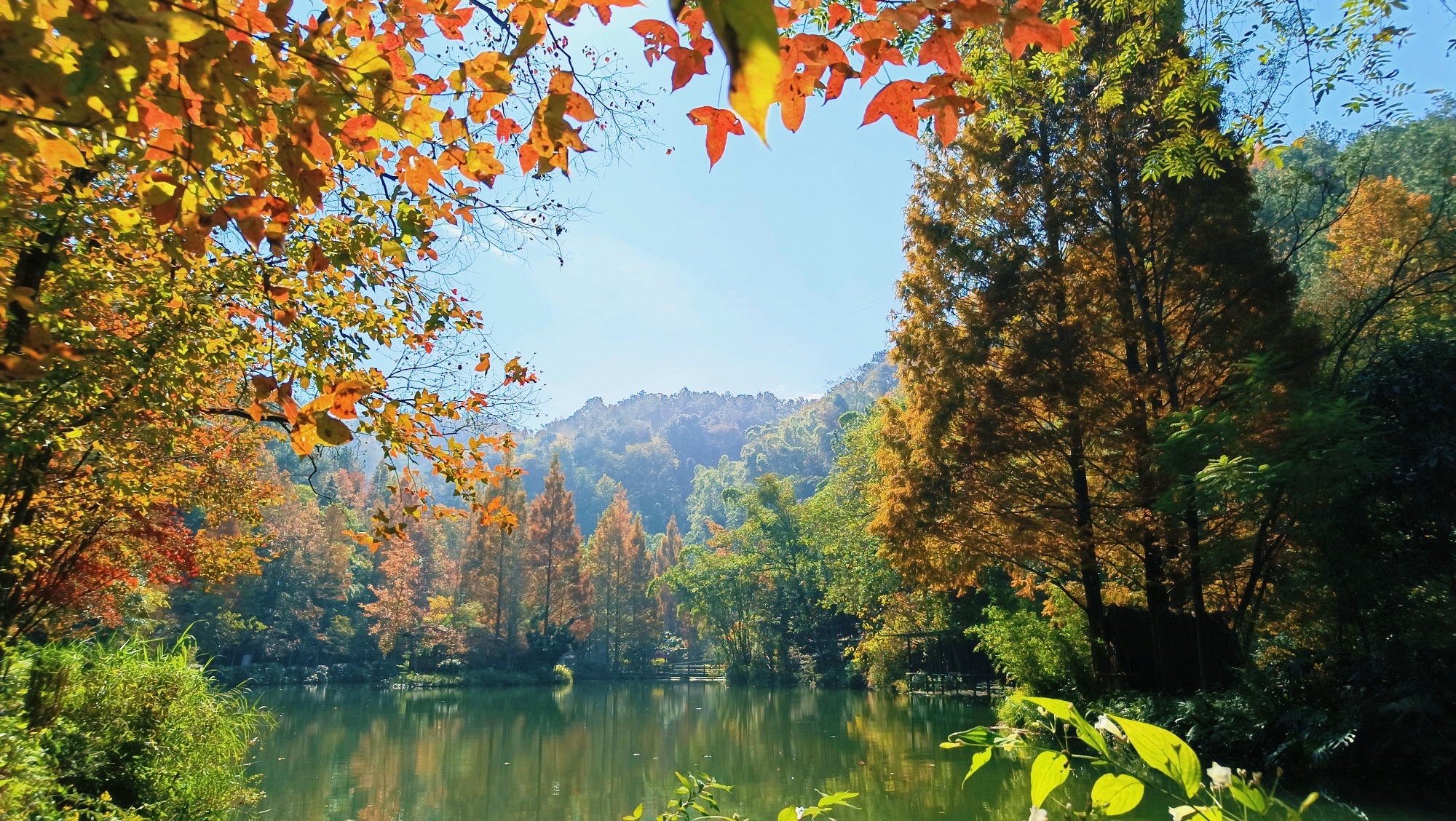 小东江口瀑布旅行图片 1