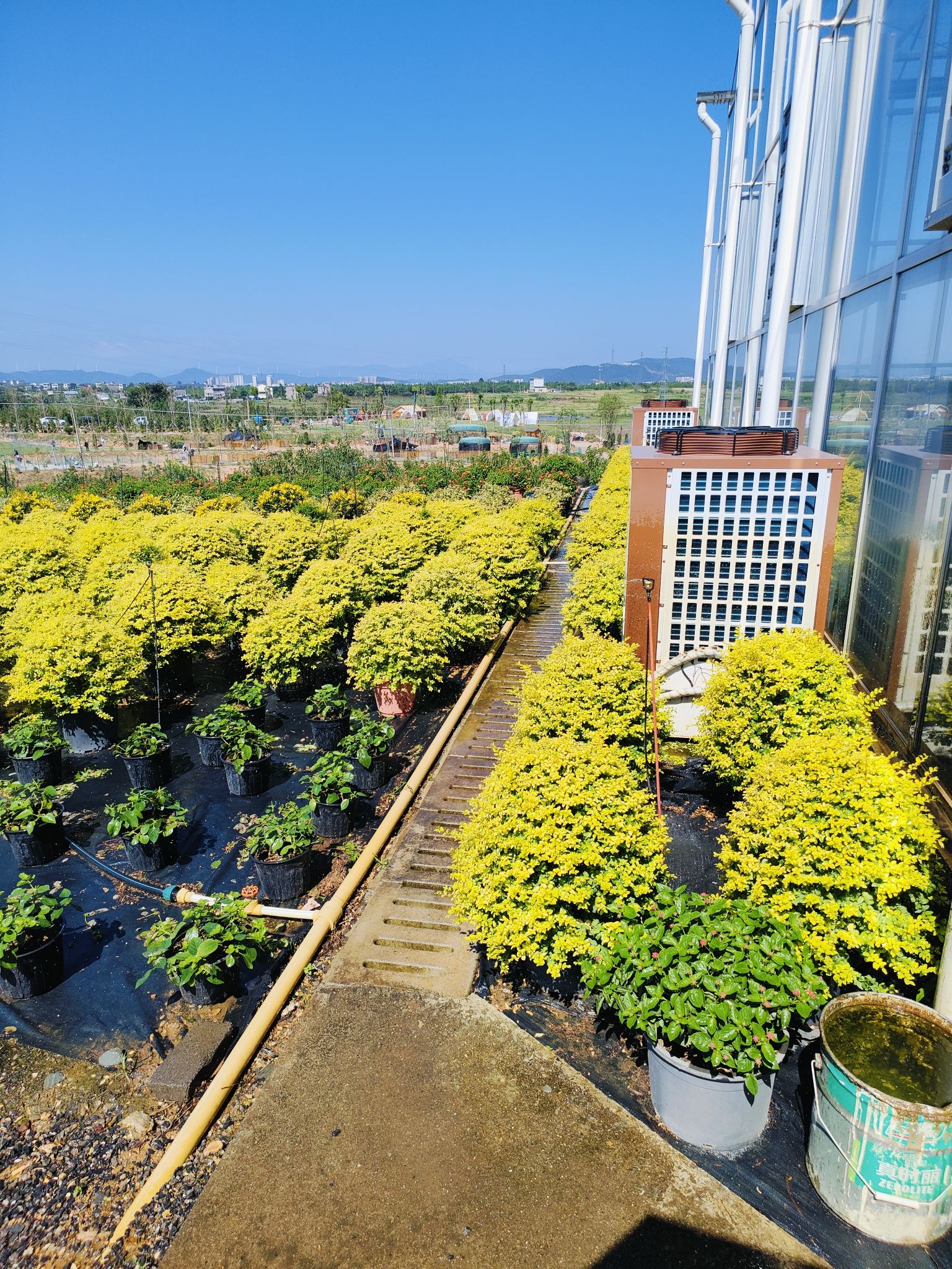 怡花湾文旅小镇旅行图片 1