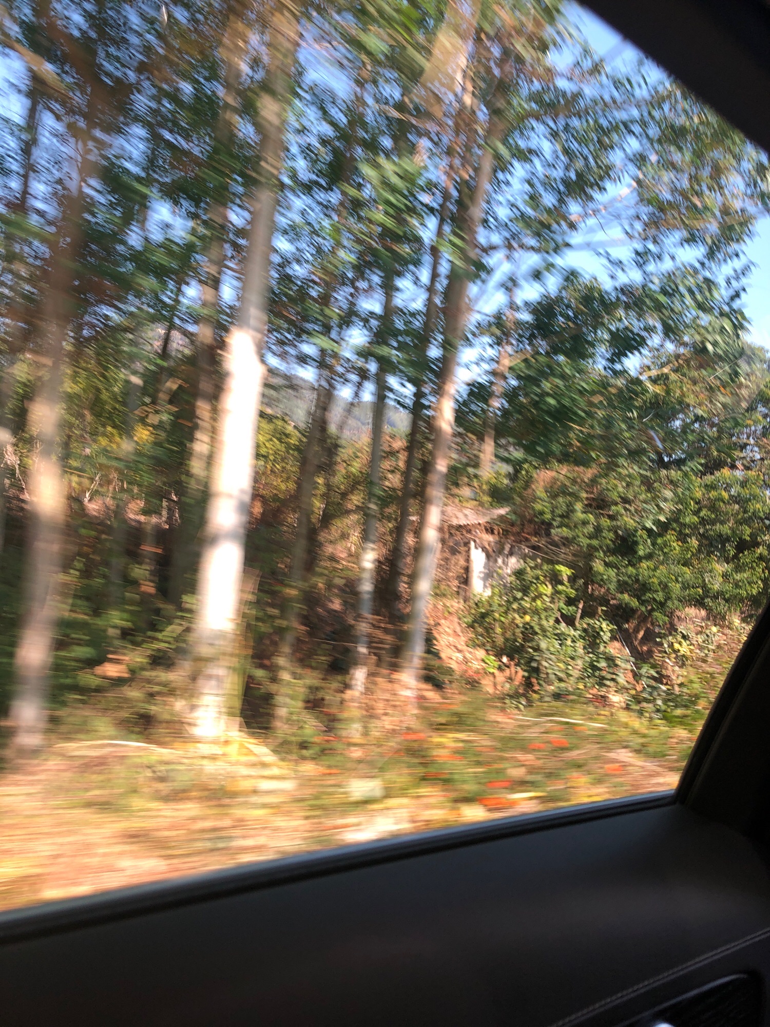 攀龙瀑布旅行图片 1