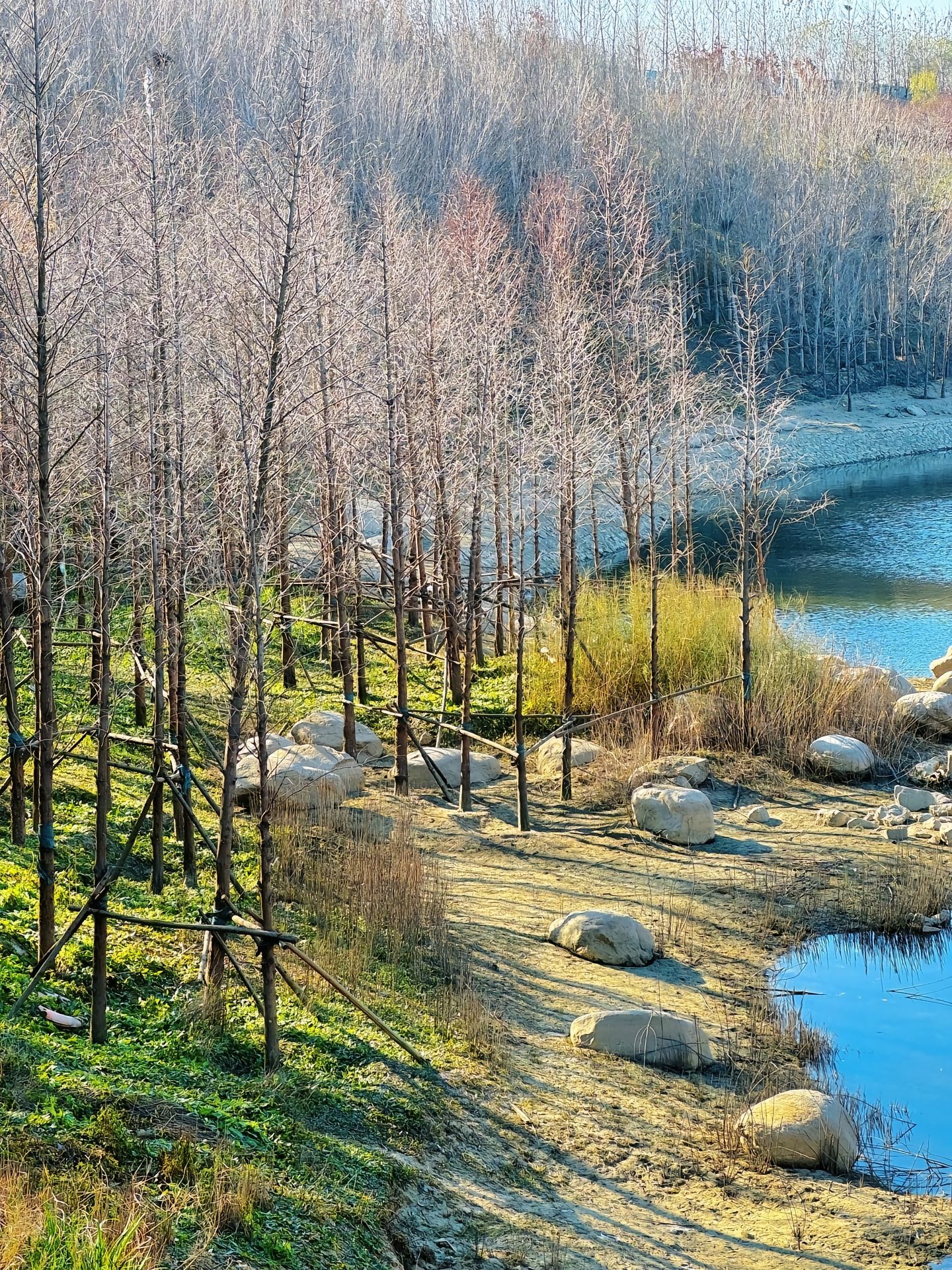 石家庄市火车站西广场绿地旅行图片 1