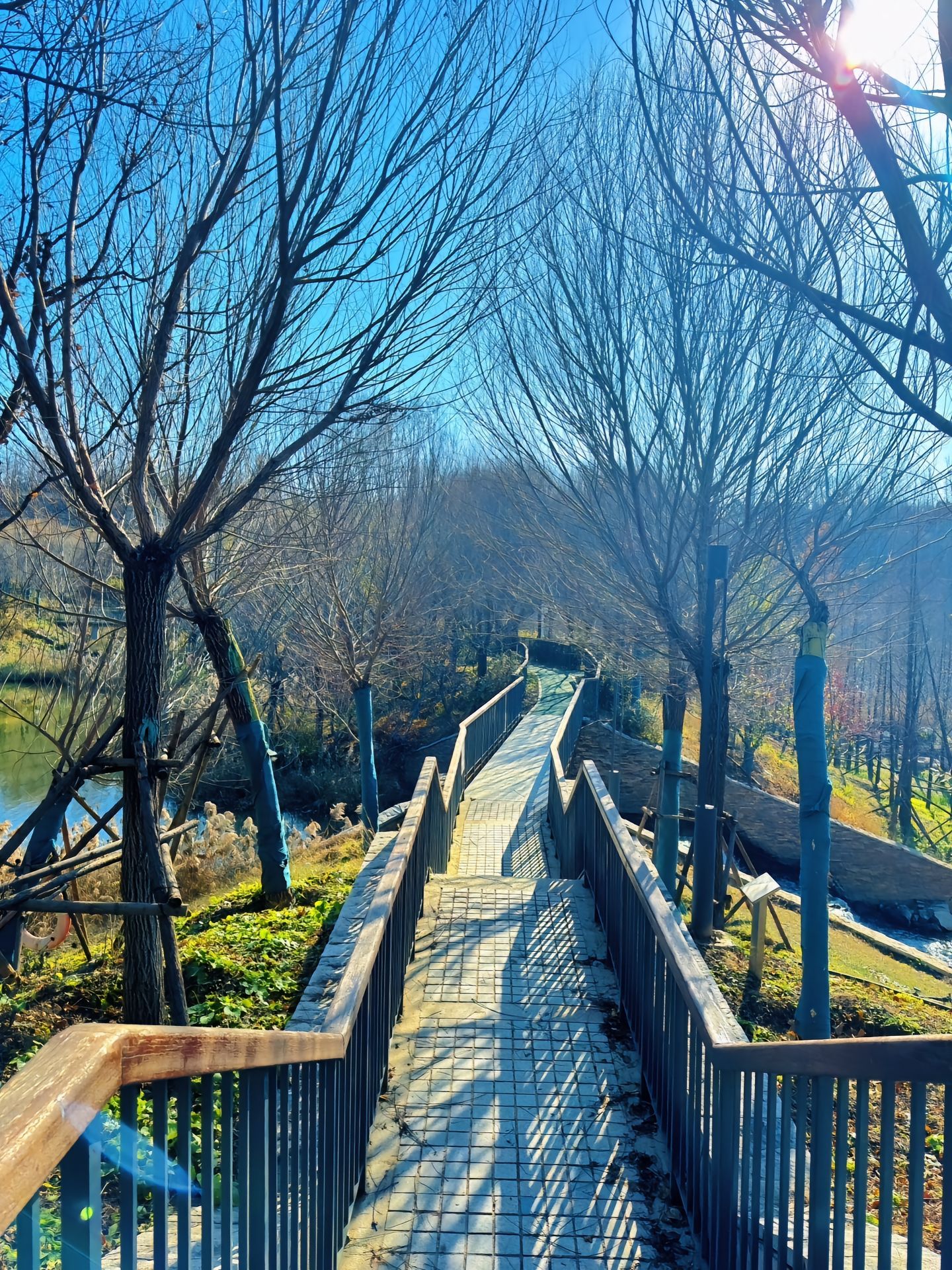 石家庄市火车站西广场绿地旅行图片 2